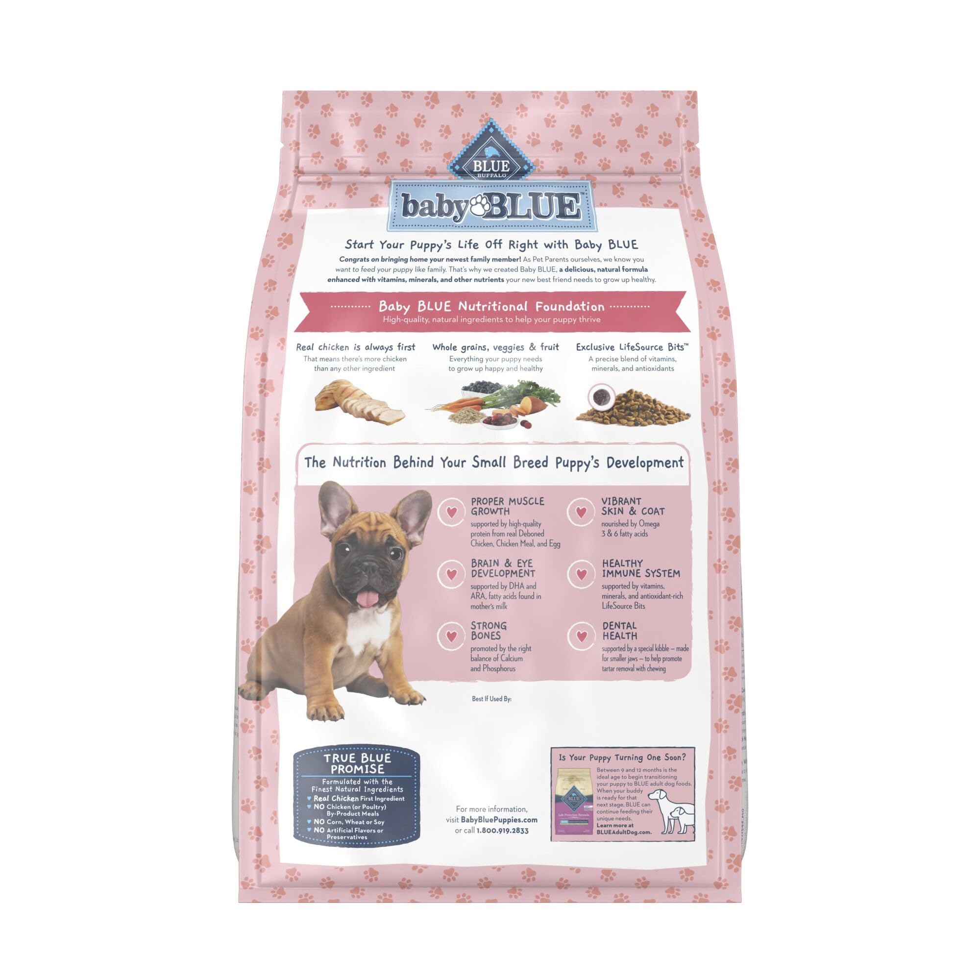 Blue Buffalo Baby BLUE Natural Small Breed Puppy Dry Dog Food, Healthy Growth Formula with DHA, Chicken and Oatmeal Recipe, 4-lb