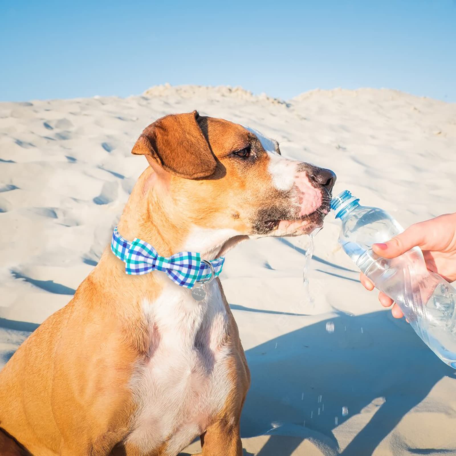 Up Urara Pup Dog Collar Bow Tie, Comfortable Durable Cotton Bowtie Collar For Girl Boy Dog Or Cat, Adorable Puppy Collar With Me