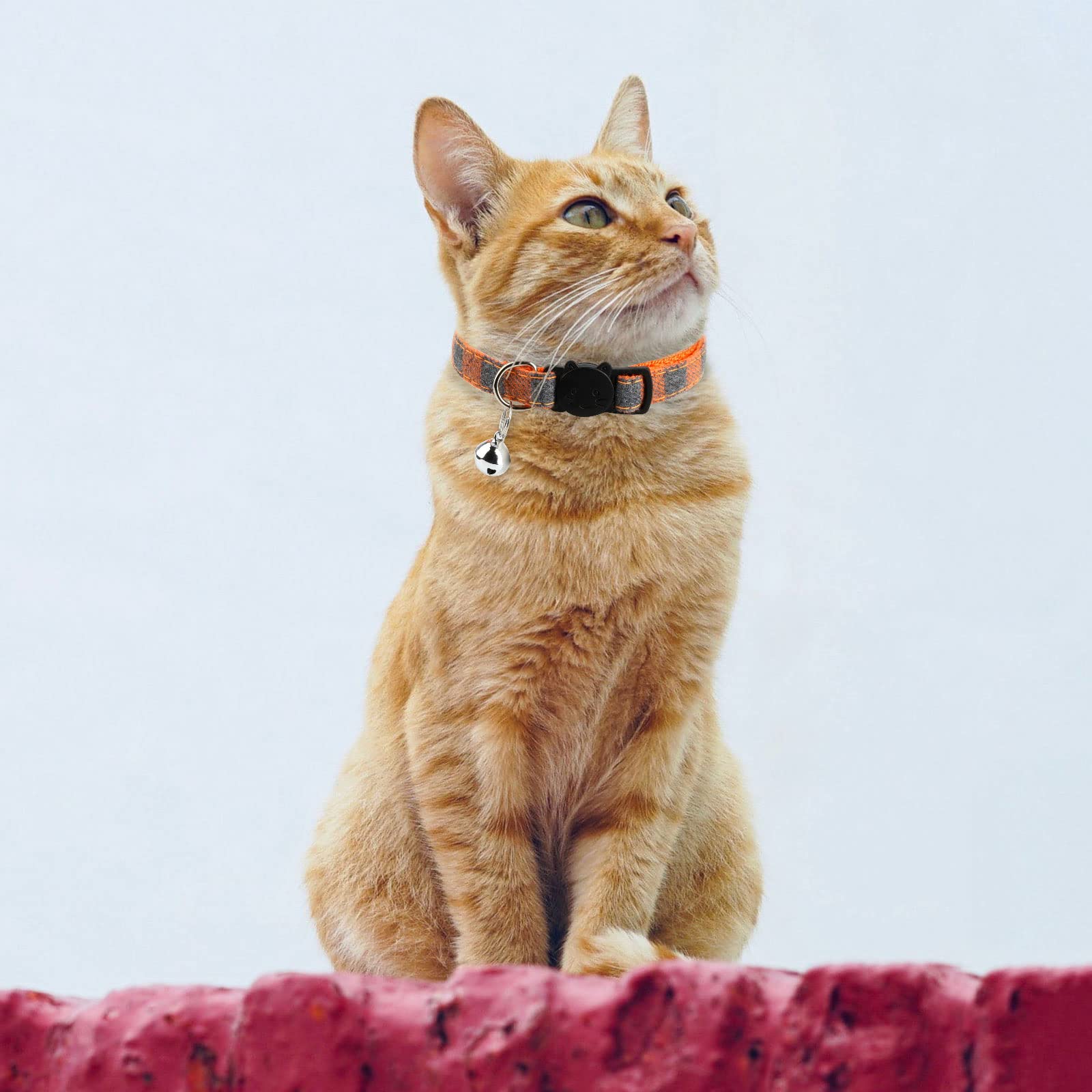 Cat Collars-Breakaway Kitten Collar With Bell - Adjustable7-12In Litter Collars Pups - Set Of 8