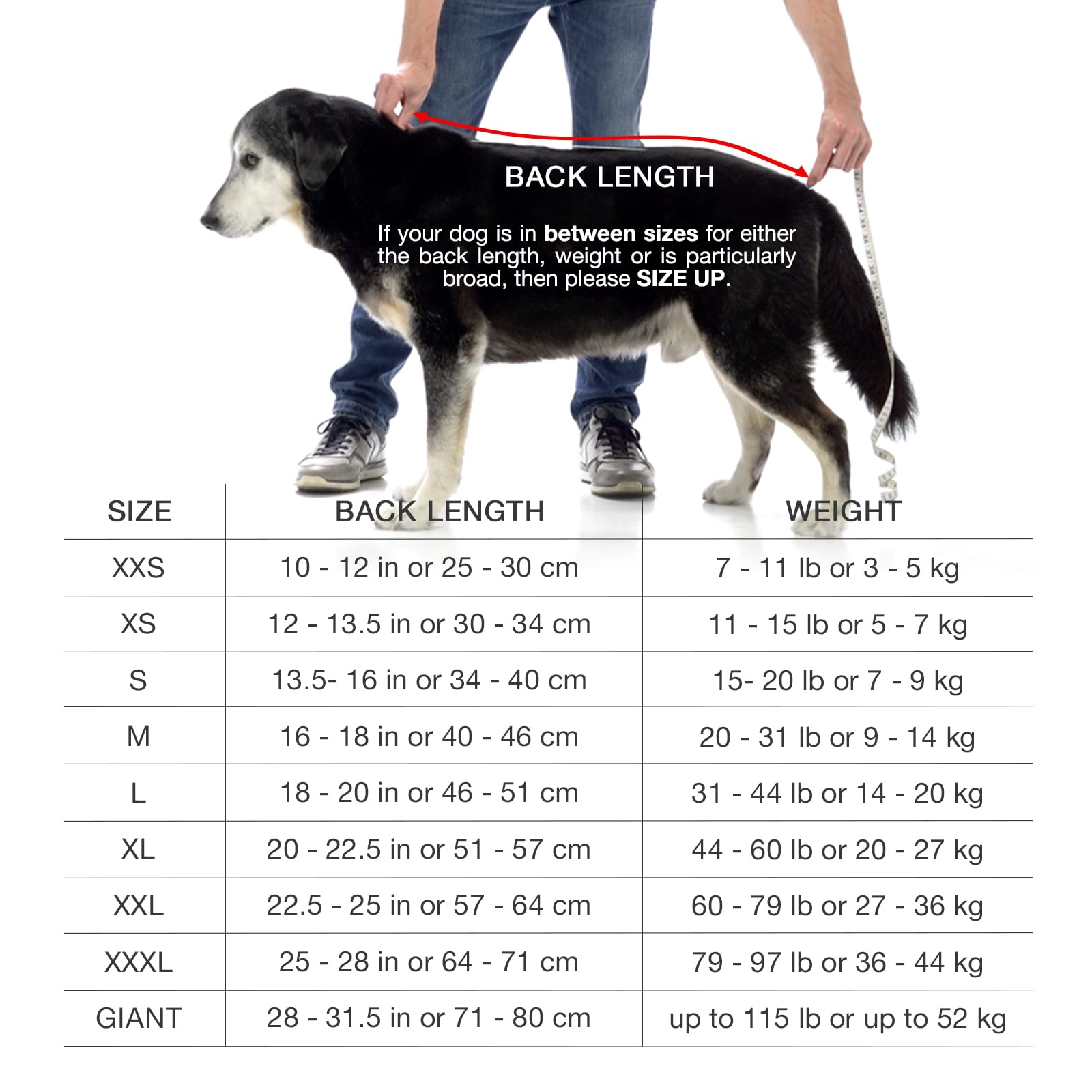Lucky Pooch Dog Robe - Luxurious Dog Bathrobe - Ultra Absorbent Dries Your Dogs in Minutes! Double-Layer, Super Soft Towel and B