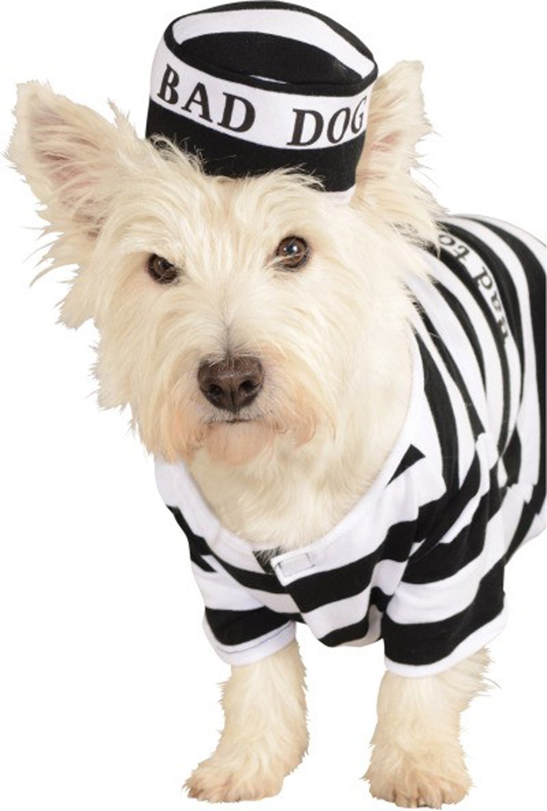 Rubie'S Pet Costume, Small, Prisoner