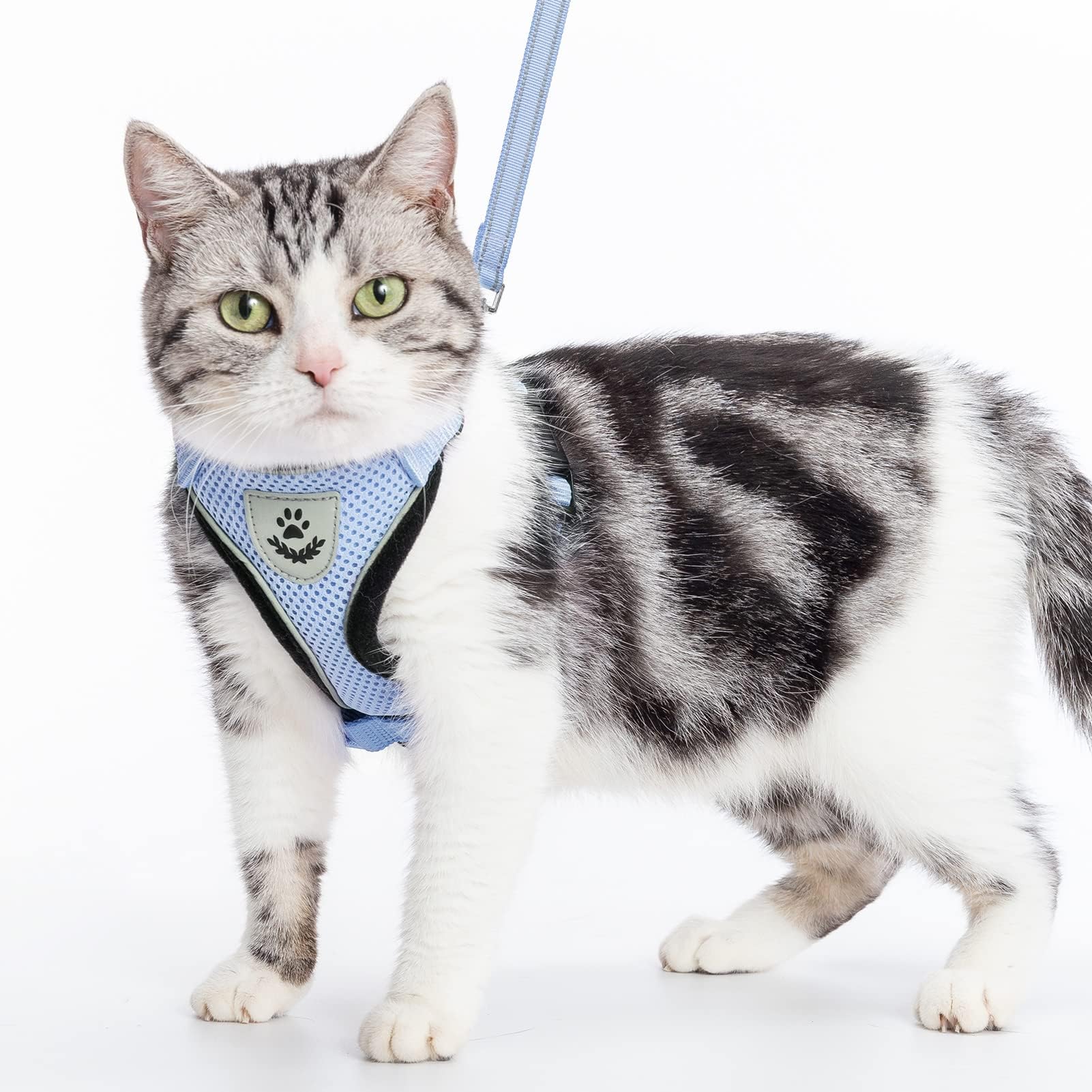 Pupteck Cat Harness And Leash Set Escape Proof Reflective Cat Walking Harness Adjustable Soft Breathable Mesh Vest For Small Pets, Sky Blue, M