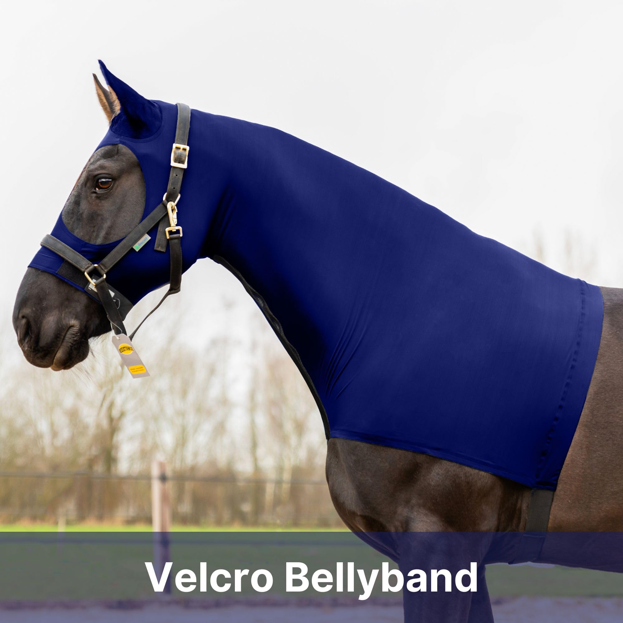 Resistance Horse Hood Slinky Zippered Mane Braid Shoulder Guard (Xx-Small, Ink Blue)