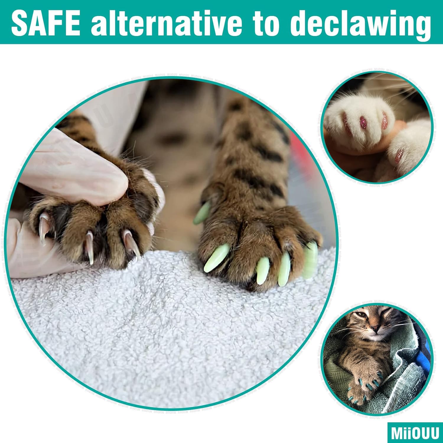 Miiouu 10X Colors / 100 Pcs Cat Nail Caps | Cat Claw Covers With Adhesives And Applicators | Beta (S)