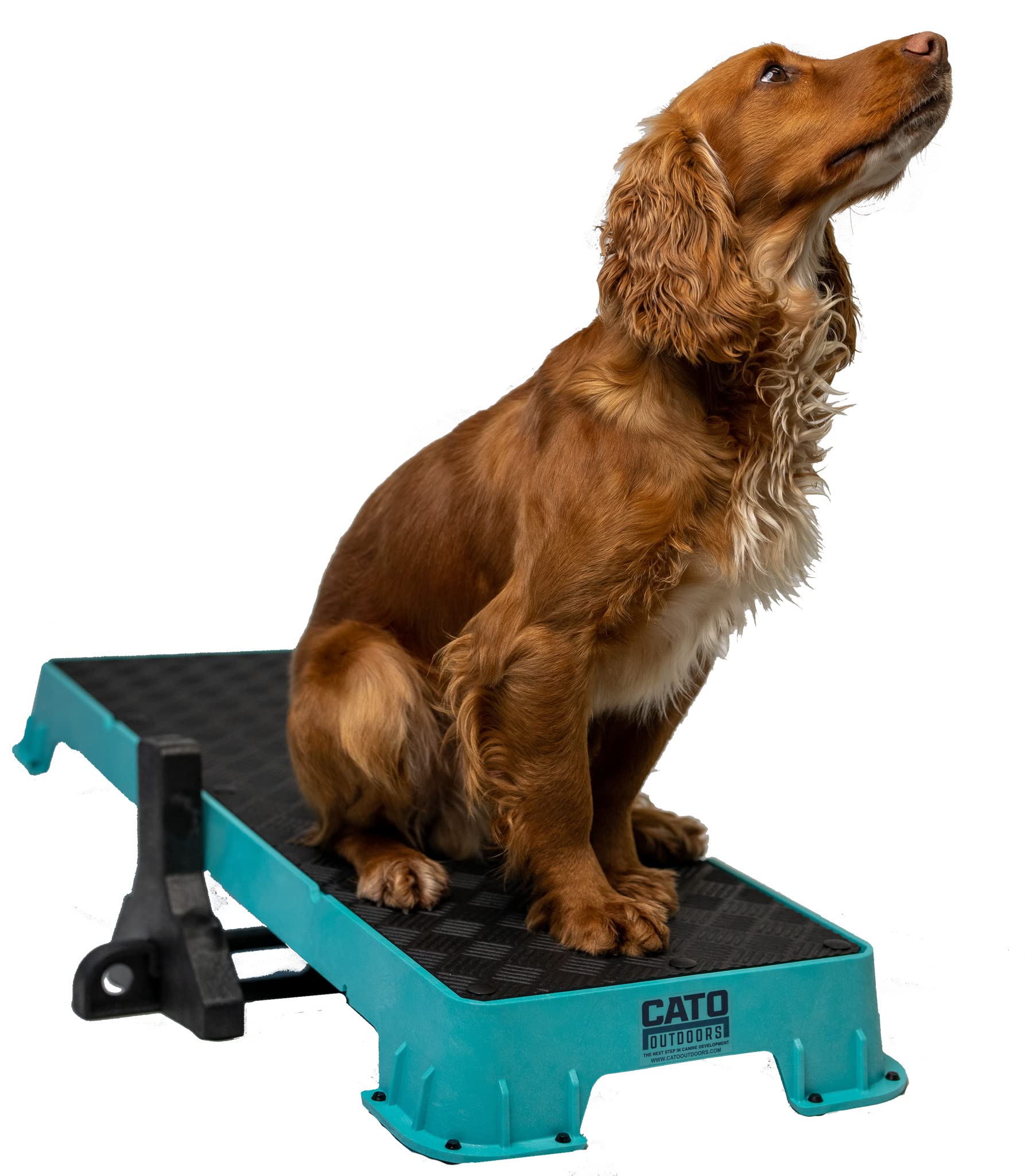 Cato Board Xl - Dog Platform (Teal, With Tilt Stand)