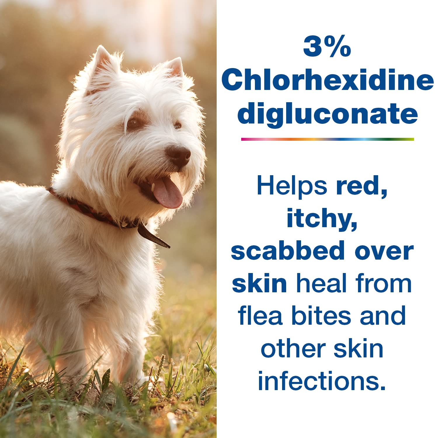 Douxo S3 Pyo Shampoo for Dogs & Cats, 3% Chlorhexidine, 0.5% Ophytrium, 16.9 fl. oz., Antiseptic &