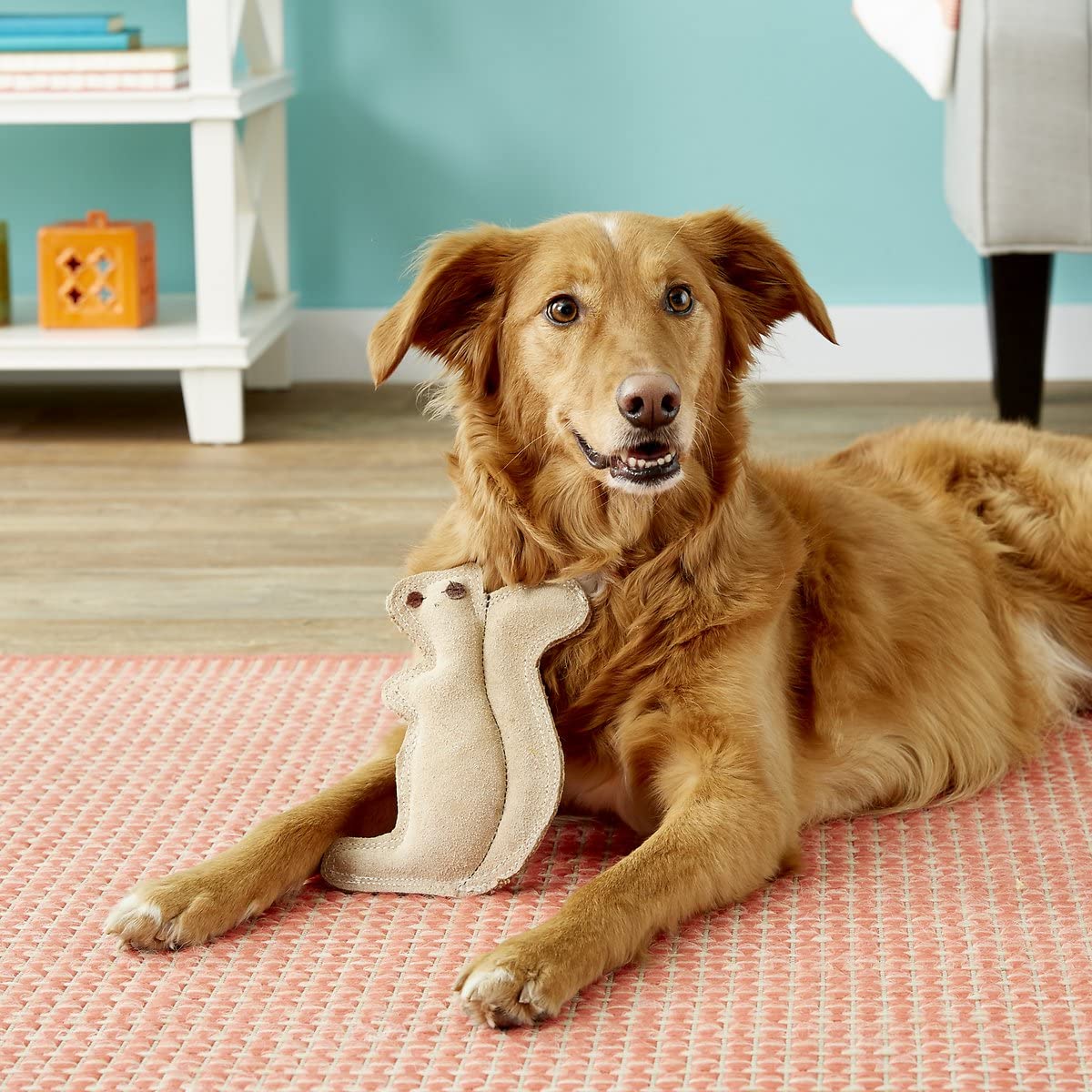 Spot Dura-Fused Leather Squirrel - Dog Toy With Squeaker, Made With Real Leather And Jute Fabric, Interactive Toy For Aggressive Chewers, Durable Squeaky Toy For Dogs And Puppies, 8 Inch