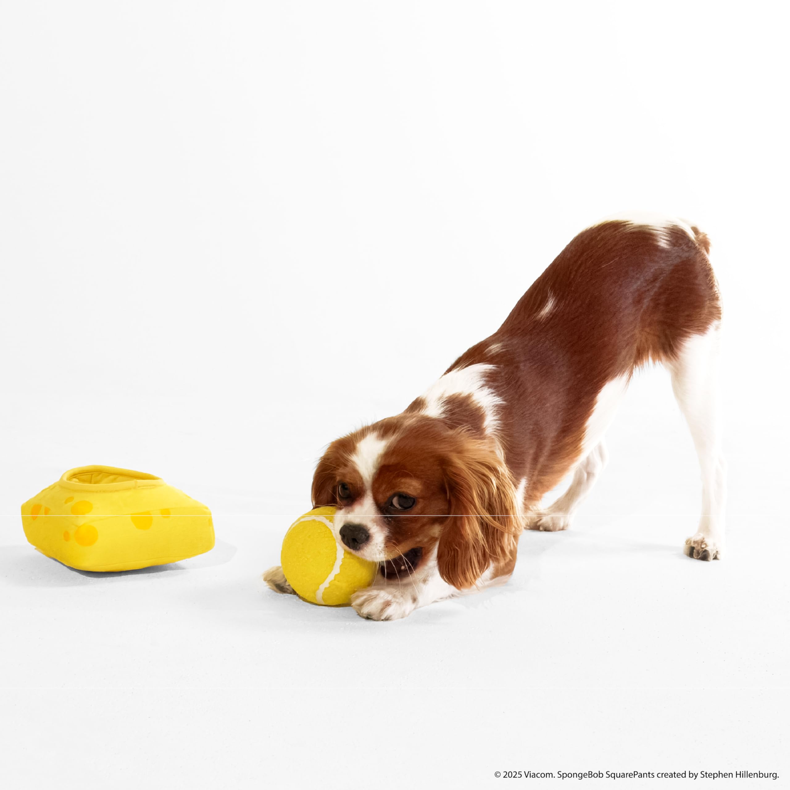 Design Lab, Inc. Spongebob Squarepants Official Merchandise | Plush Dog Toys | 2-Pack Gary & Spongebob Tennis Ball & Treat Dispe