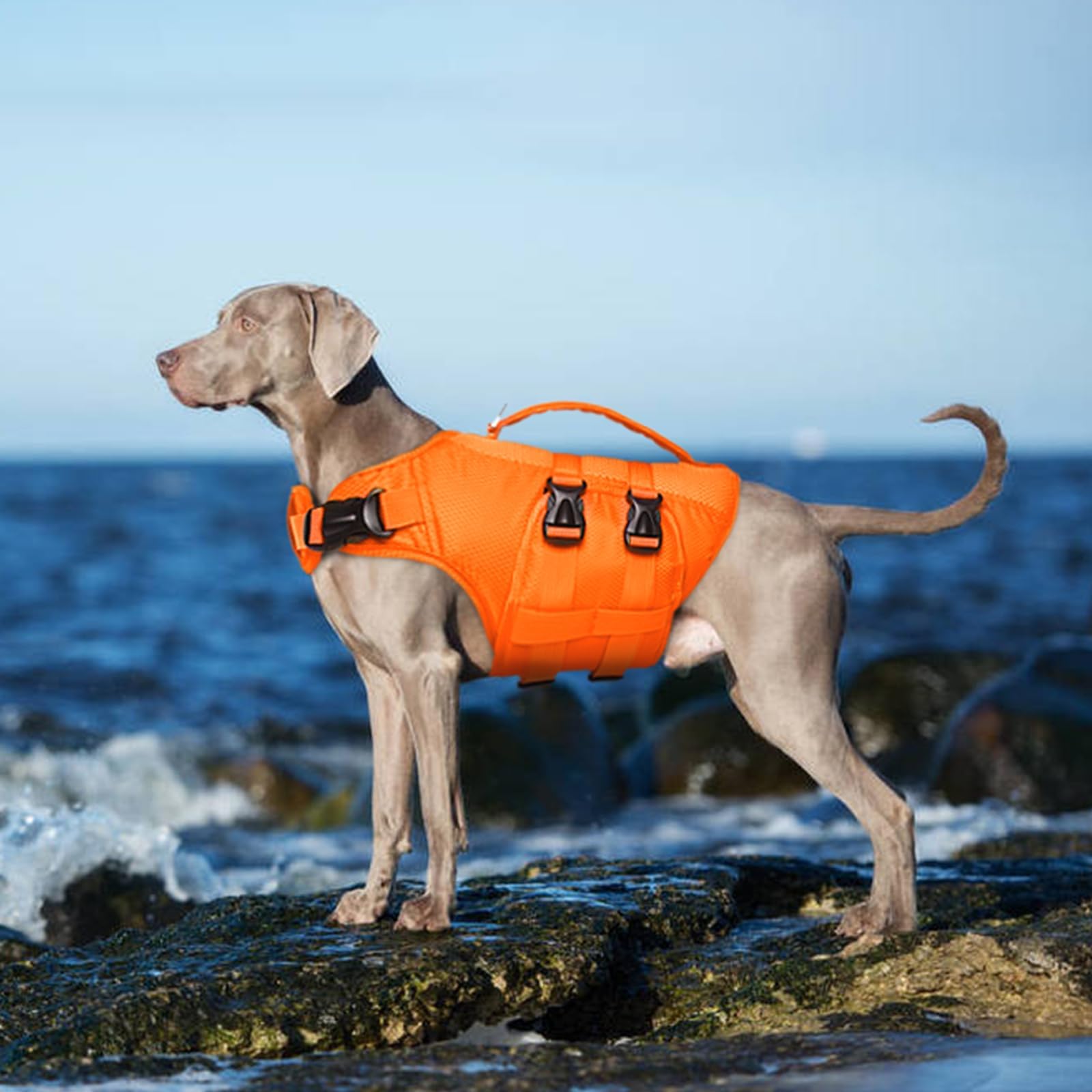 Kuoser Dog Life Jacket, Large Dog Water Vest For Swimming Boating, Reflective Doggie Swimming Vest Pet Life Preserver With Rescu