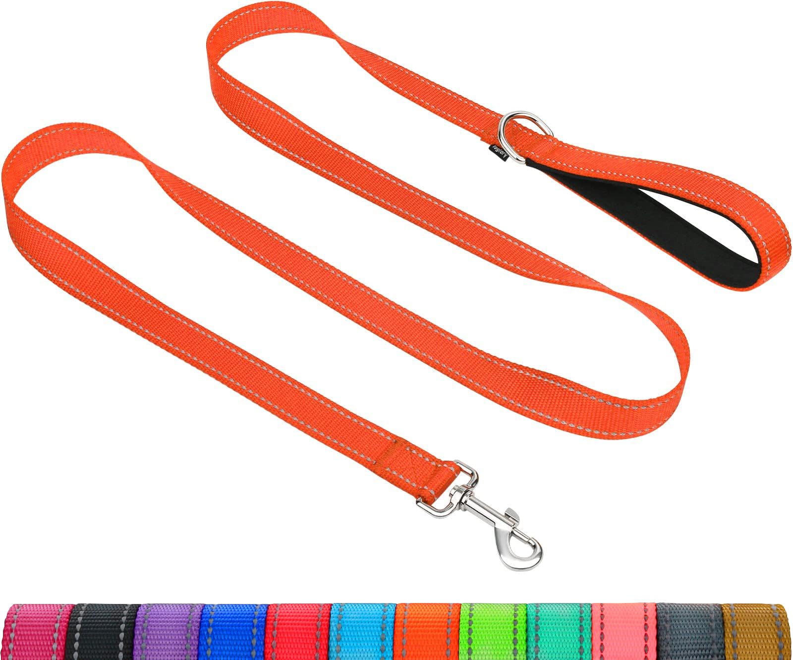 Taglory Dog Leash For Small Dogs, Double-Sided Reflective Leash With Soft Neoprene Padded Handle, 3/4 Inch By 5 Ft, Fit Small Me