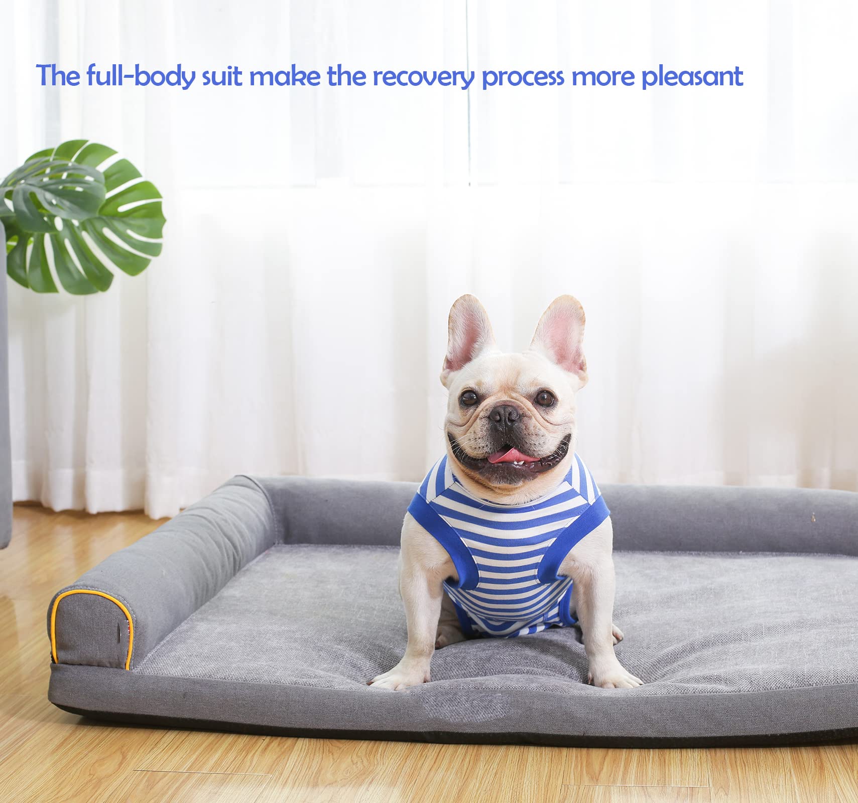 Sychien Dog Recovery Suit Post Surgery Shirt For Puppy,Small Female Male Wound Protective Suit,Blue Xs