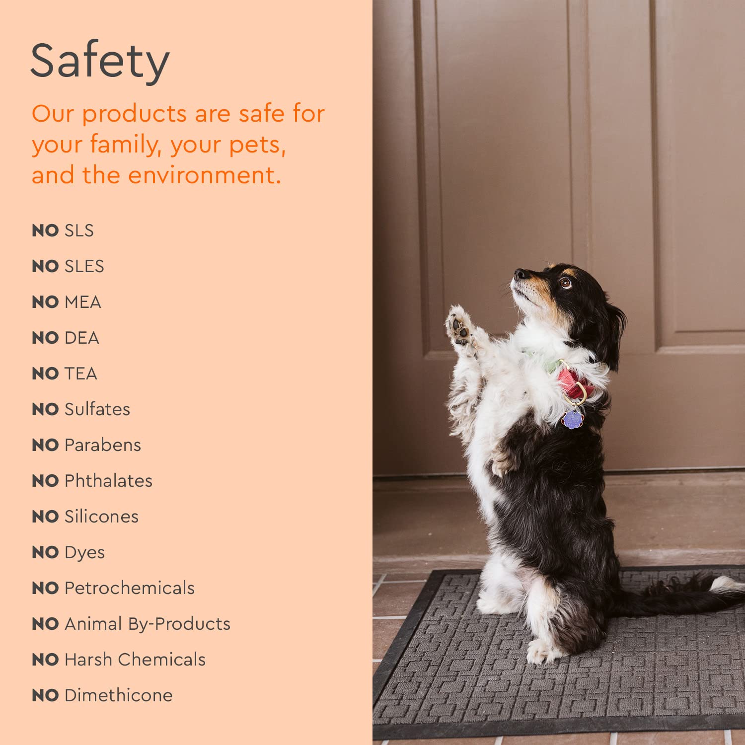 Puracy Natural Platinum Pet Stain And Odor Remover - Plant-Powered Professional Pet Urine Odor Eliminator With Natural Enzymes - Safe And Effective Carpet Pet Stain Remover And Cleaner, 739Ml, 25Oz