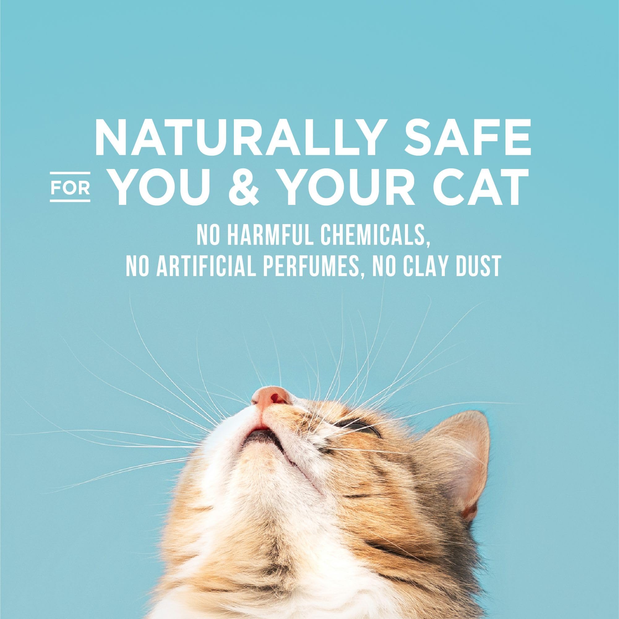 World'S Best Cat Litter Poop Fighter Maximum Odor Defense, 32-Pounds - Natural Ingredients, Quick Clumping, Flushable, 99% Dust Free & Made In Usa - Long-Lasting Odor Control & Easy Scooping