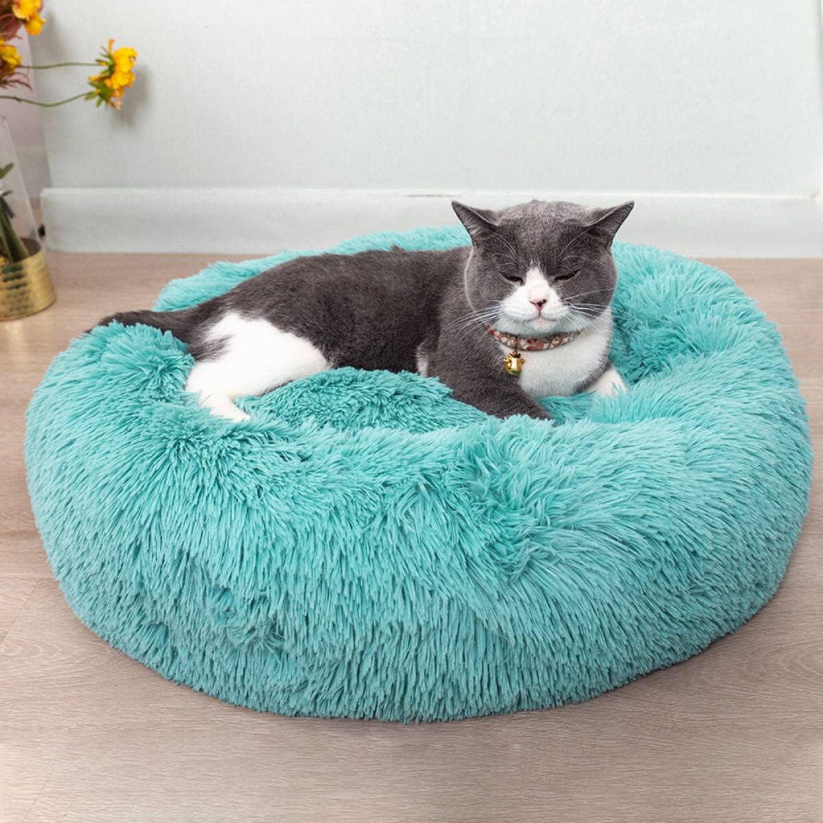 Cat Beds For Indoor Cats - Cat Bed Washable 20/24 Inches, Dog Beds For Small Medium Dogs, Anti Anxiety Round Fluffy Plush Faux Fur Cat Bed, Thick Bottom (Blue, Medium)