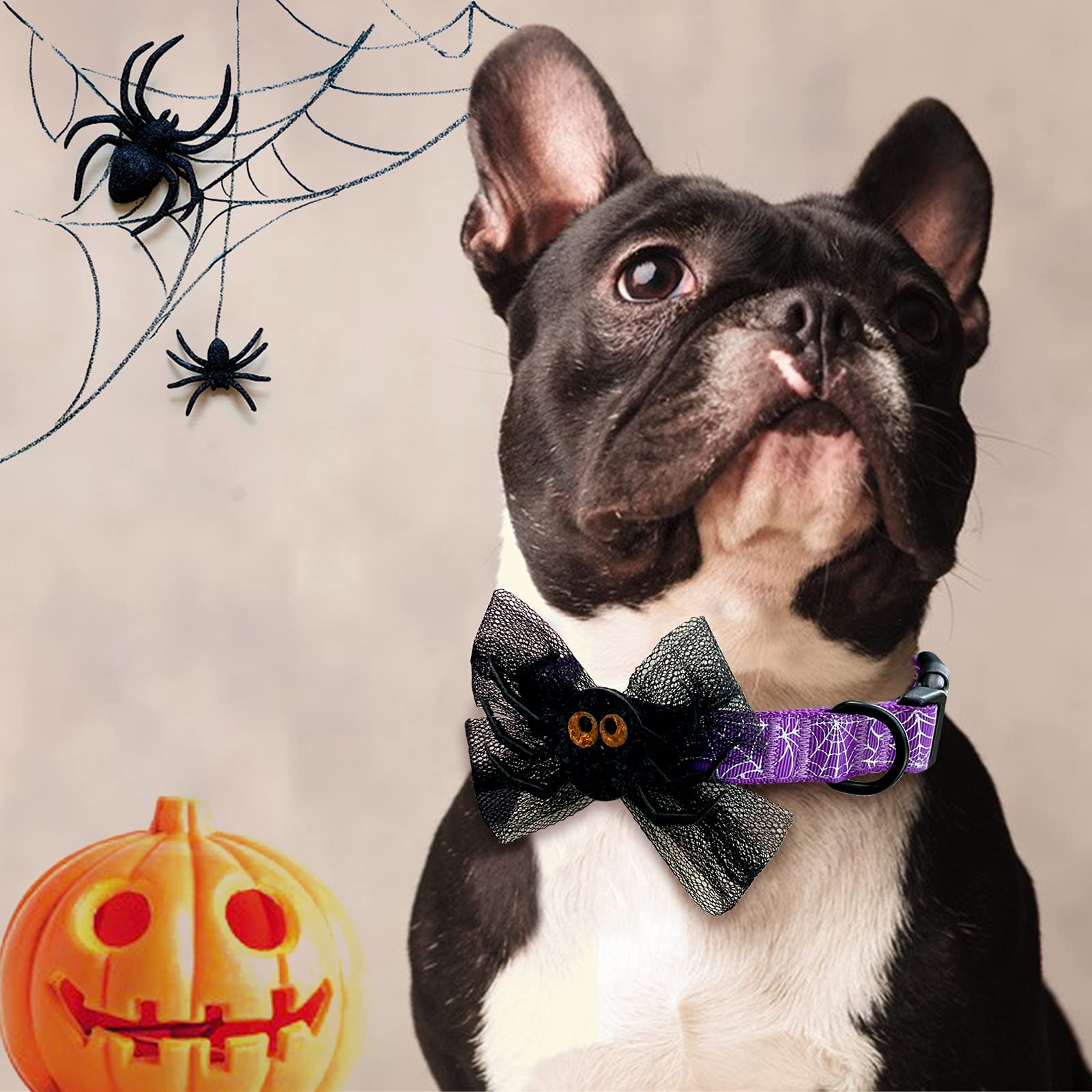 Azuza Halloween Dog Collars With Bow Cute Sequined Spider Purple Dog Collar With Lace Bow Tie Gifts On Halloween For Large Dogs