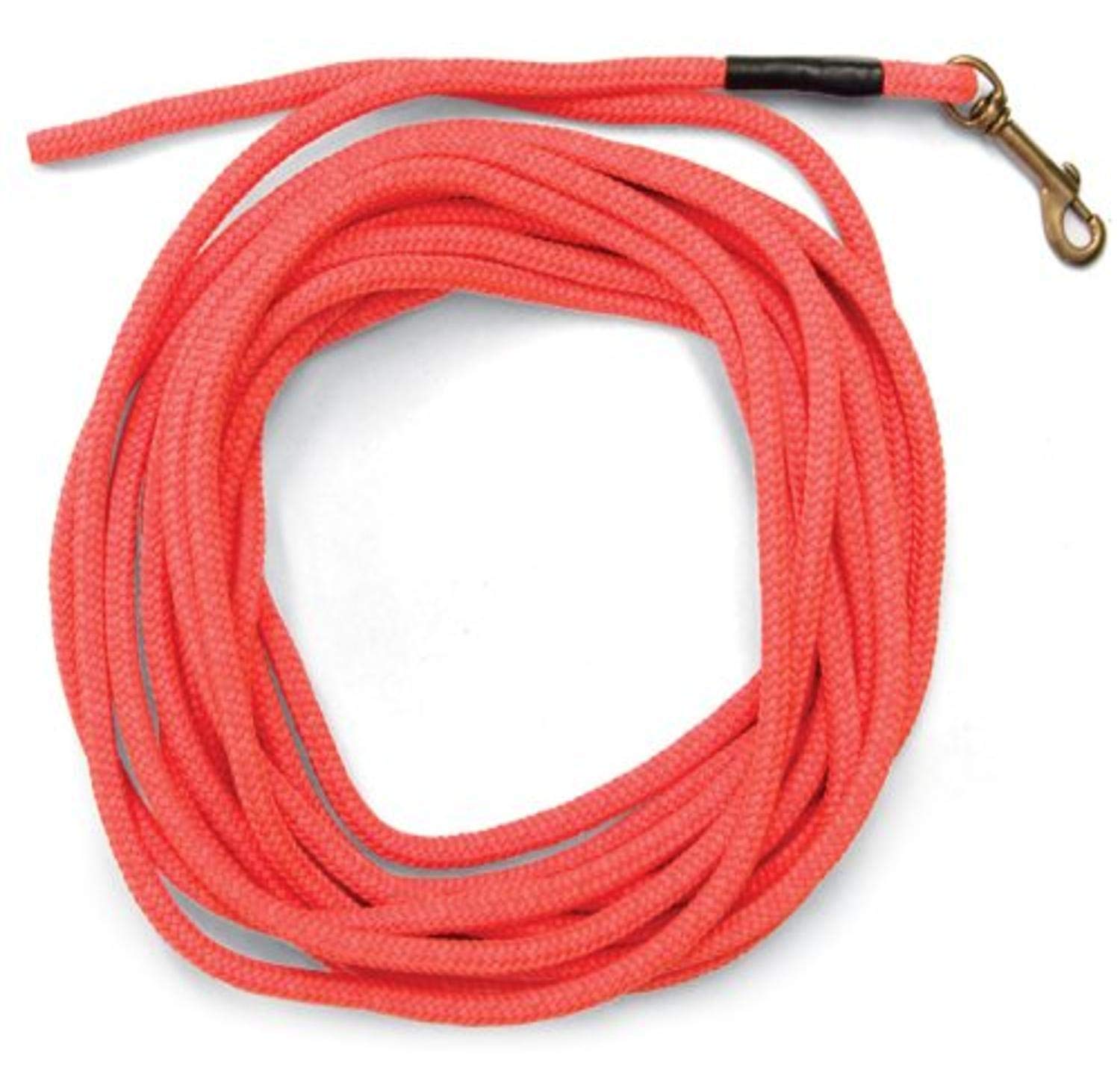 Sportdog Brand Orange Check Cord - 30 Feet Long - Strong But Lightweight Training Tool - Highly Visible And Floats