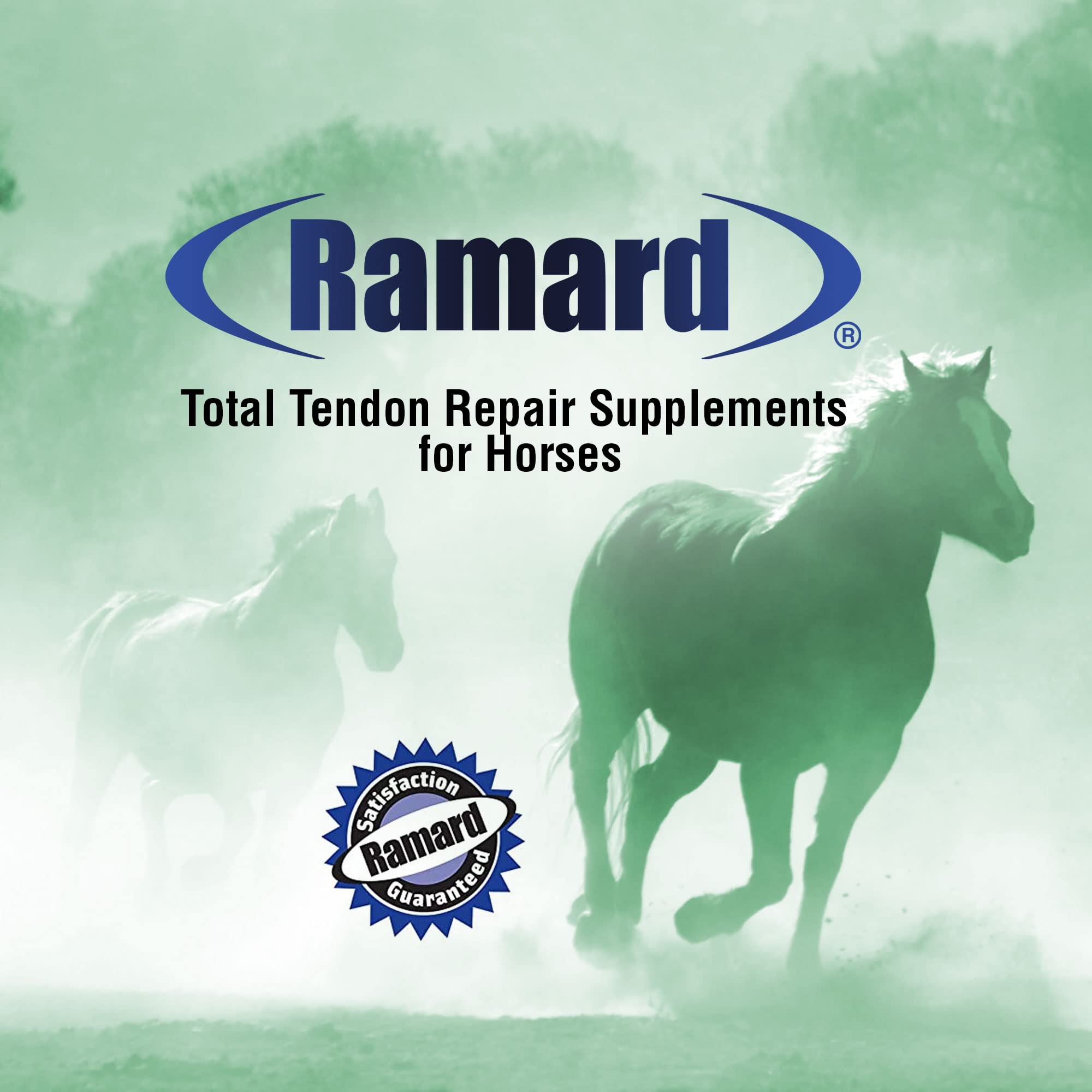 Ramard Total Tendon Repair -Advanced Powder Supplement with Vitamin C, Collagen, and MSM for Horse Joint, Ligament, and Tendon S