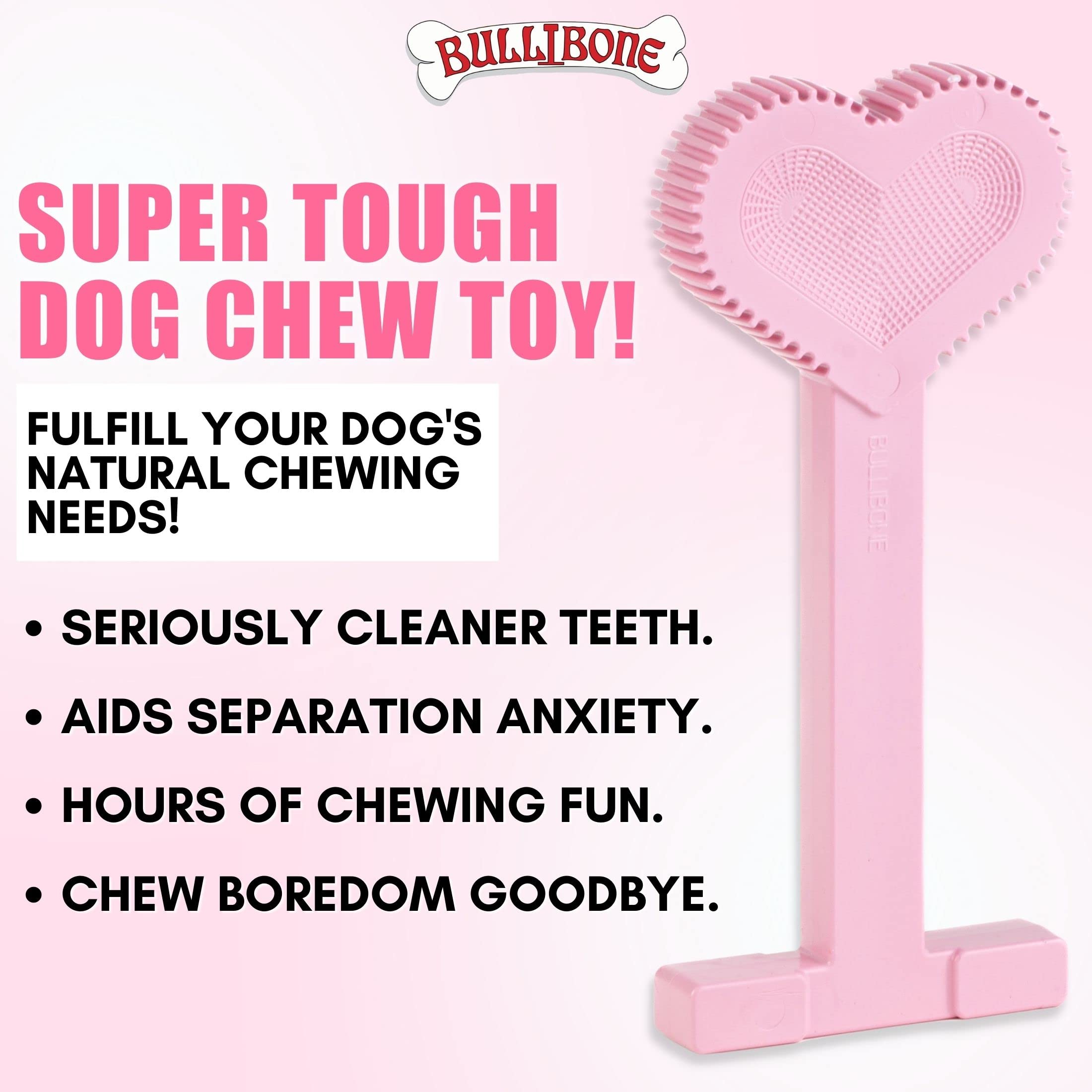 Bullibone Nylon Dog Chew Toy Nylon Bone - Improves Dental Hygiene, Easy To Grip Bottom, And Permeated With Flavor (Peppermint, Small - 2 Pack)