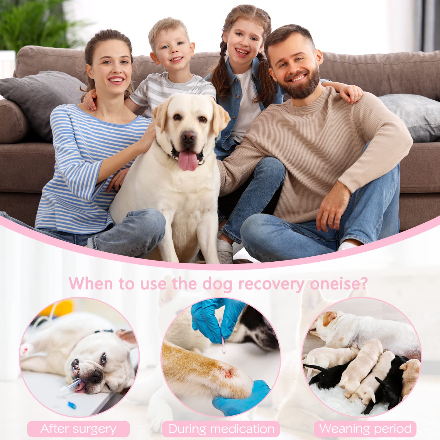 Etdane Dog Recovery Suit for Female Male Dog Onesie for Surgery Surgical Suit After Spayed Dogs Neuter Body Suits Fit Small Medi