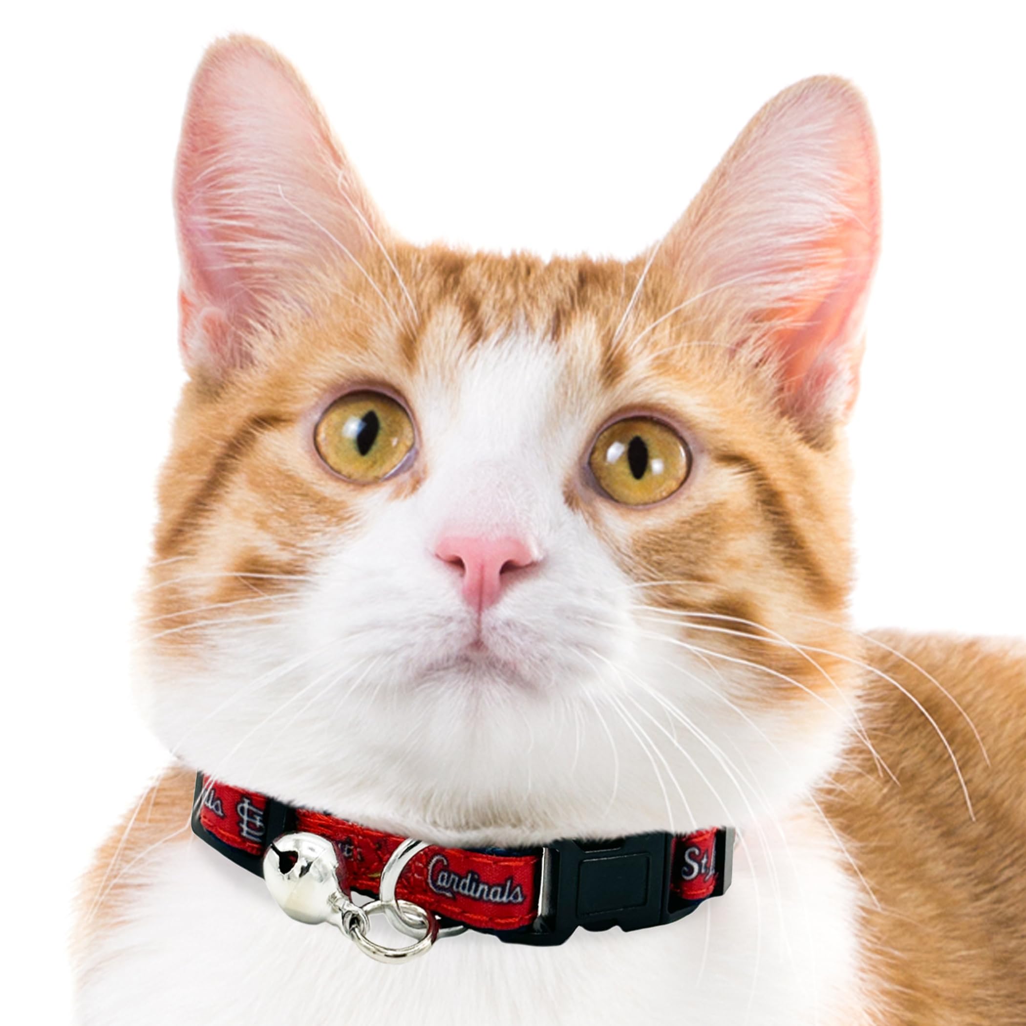 Mlb Cat Collar St. Louis Cardinals Satin Cat Collar Baseball Team Collar For Dogs & Cats. A Shiny & Colorful Cat Collar With Rin