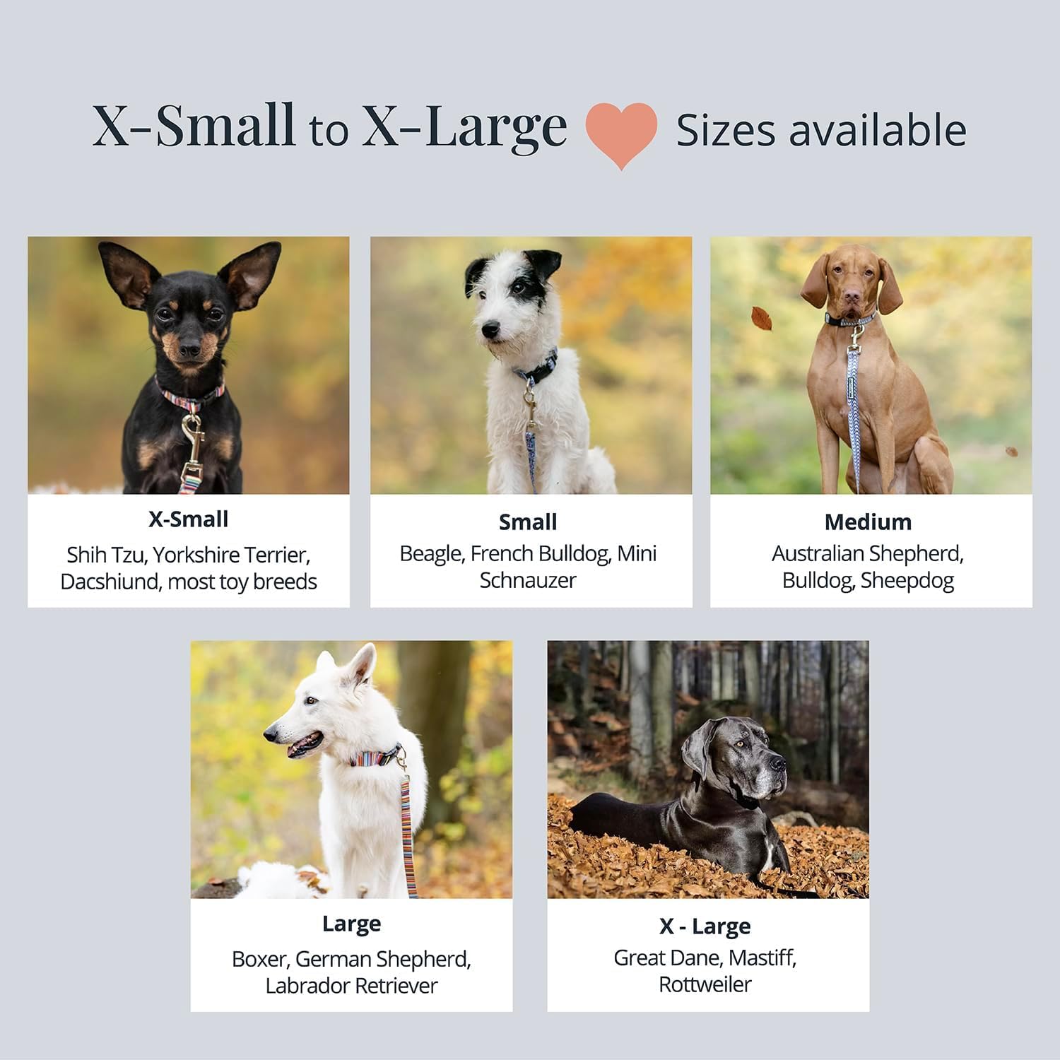 Lucky Love Dog, Winter Stocking Caps And Mittens Dog Collar And Leash Set, Matching Snowflakes Collar And Leash For Male And Fem