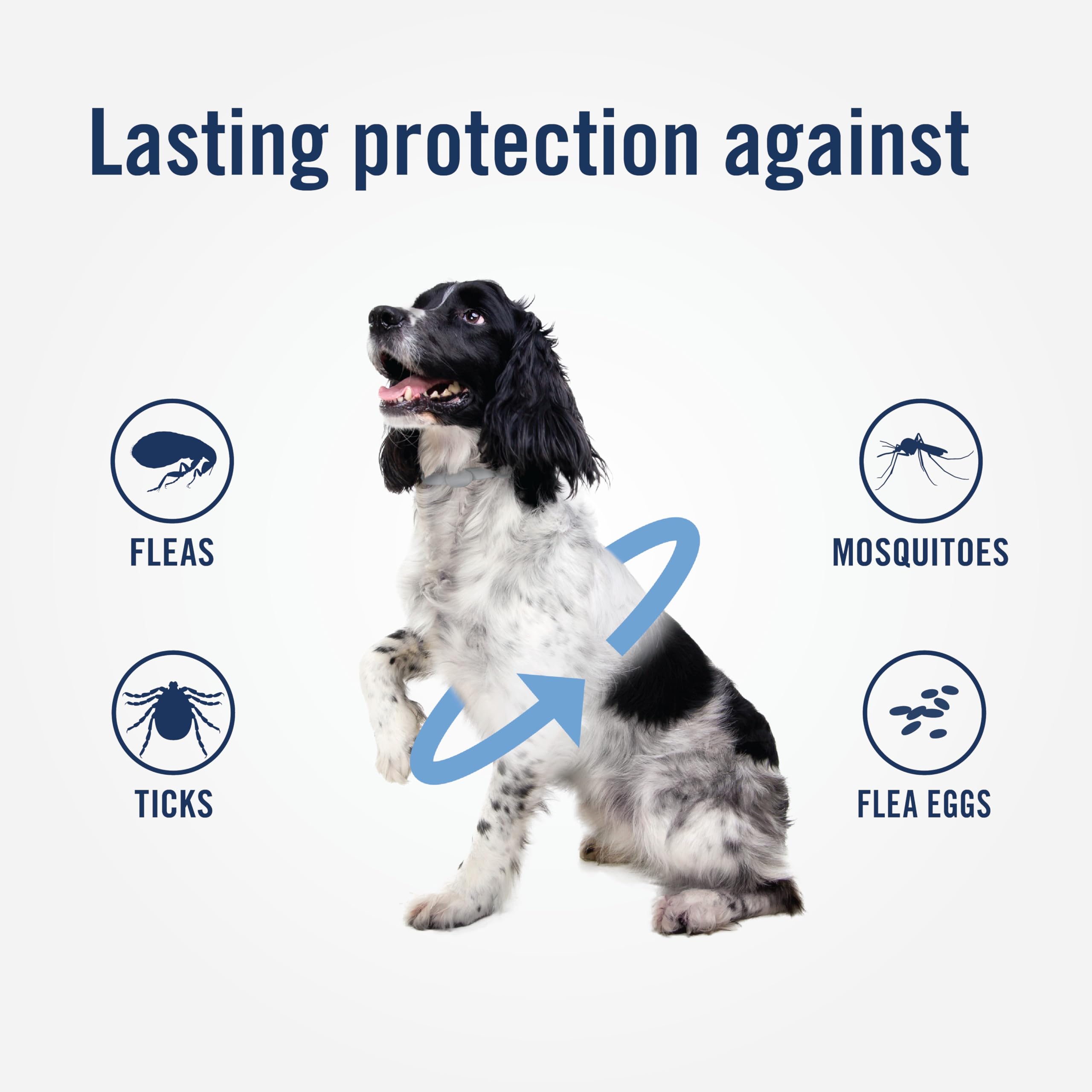 Petarmor Plus Flea & Tick Collar For Dogs, Kills Fleas & Ticks, Long Lasting Protection For 12 Months, Water Resistant, One Size Fits All, 2 Collars