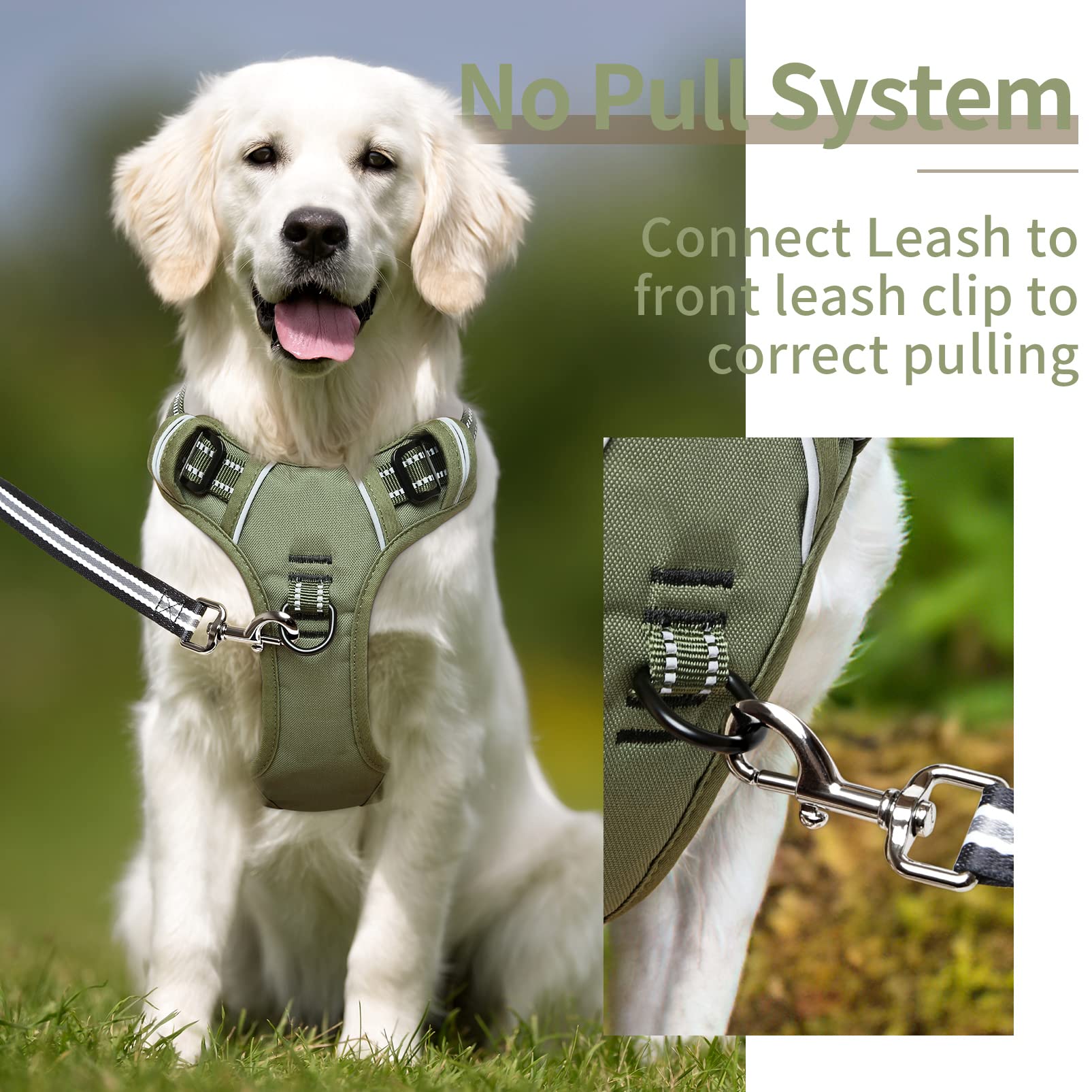 HEELE Dog Harness No Pull Adjustable Padded Reflective for Small Medium Large Dogs, XL, Green, Model: Harnais Chien
