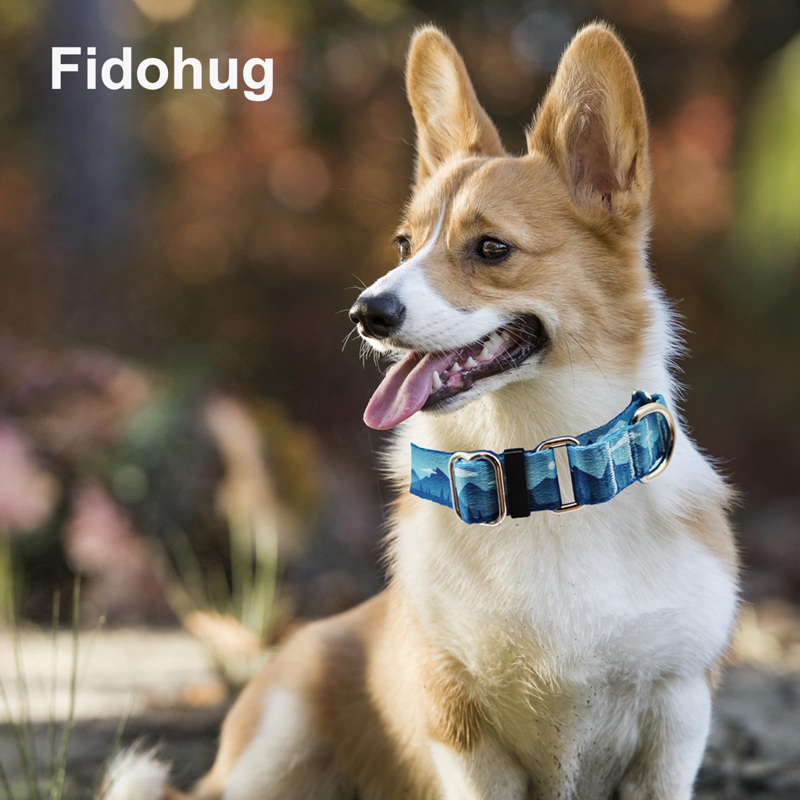 Fidohug Martingale Collar For Dogs With Buckle Dog Collar Adjustable Soft Nylon Boy Dog Collars For Small Dogs, Blue Sunset
