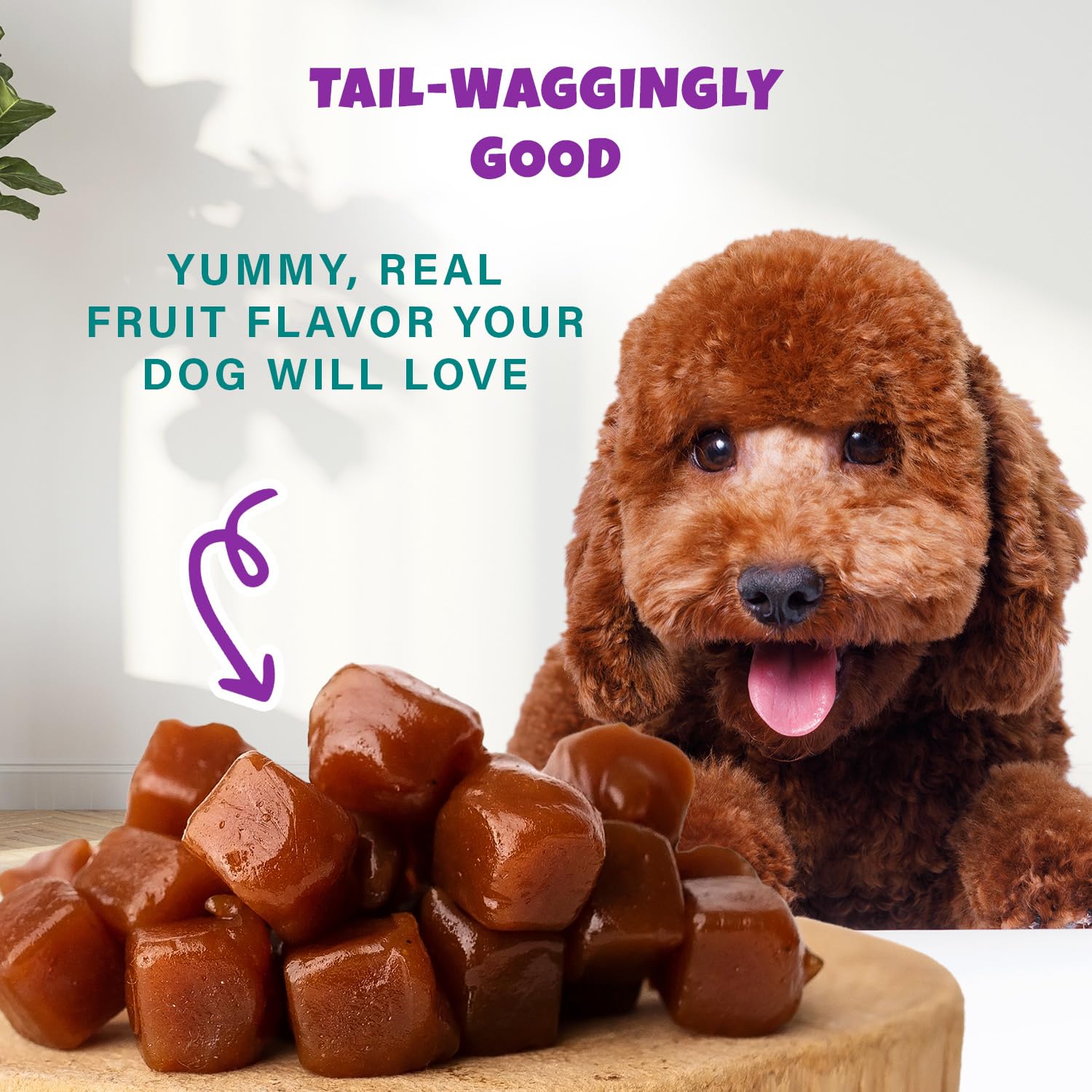 PETIPET Wildberry Plant-Based Fruit Dog Treats - Strawberry, Apple, Blueberry Soft & Chewy - Vegetarian, Vegan Dog Treats with O