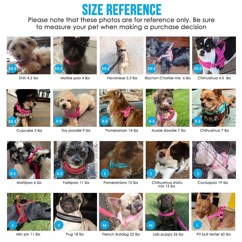 Lukovee Dog Harness And Leash Set, Soft Padded Small Dog Harness, Neck & Chest Adjustable Reflective Vest Puppy Harness With 4Ft