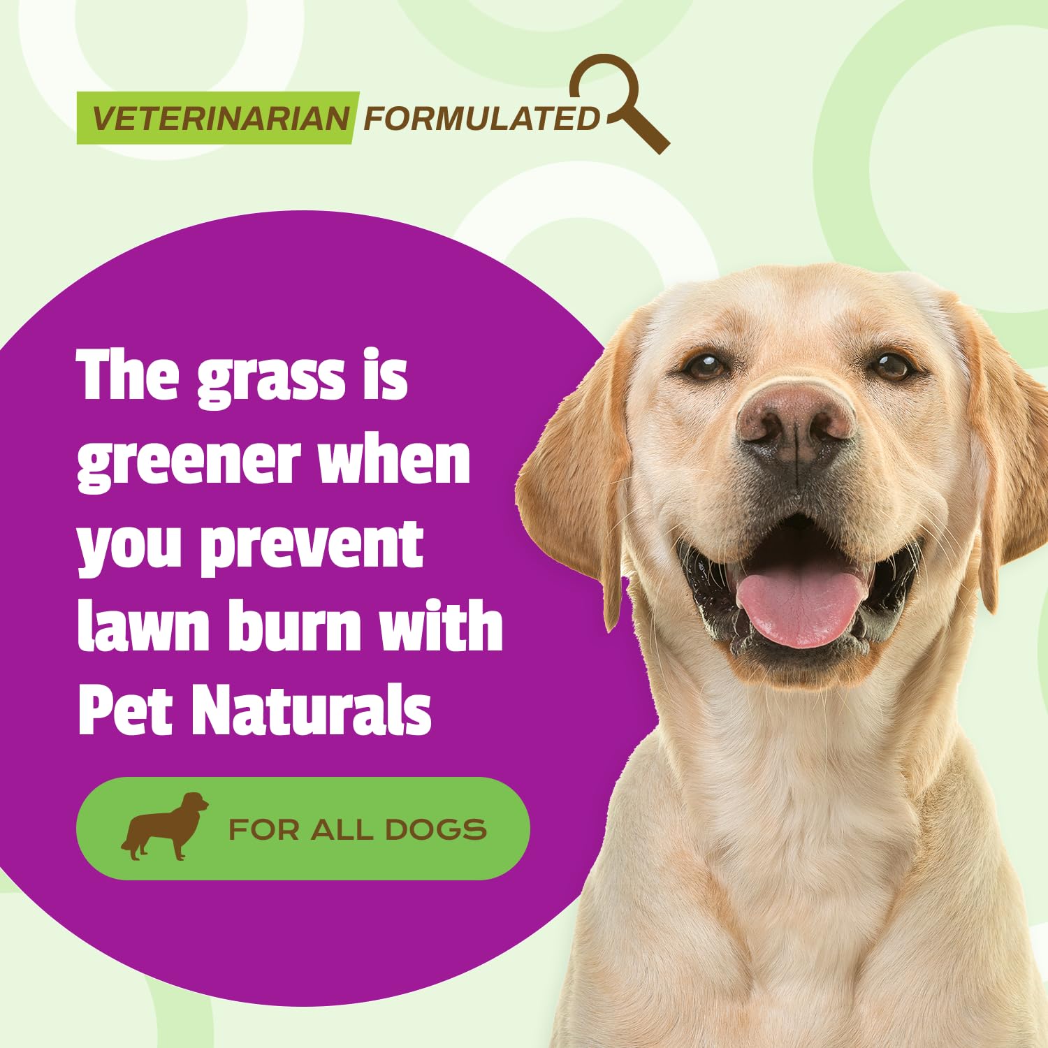 Pet Naturals Lawn Aid Dog Urine Neutralizer for Lawn - 60 Chicken-Flavored Chews - Healthy Dog Treats for PH Balance in Urine Ma