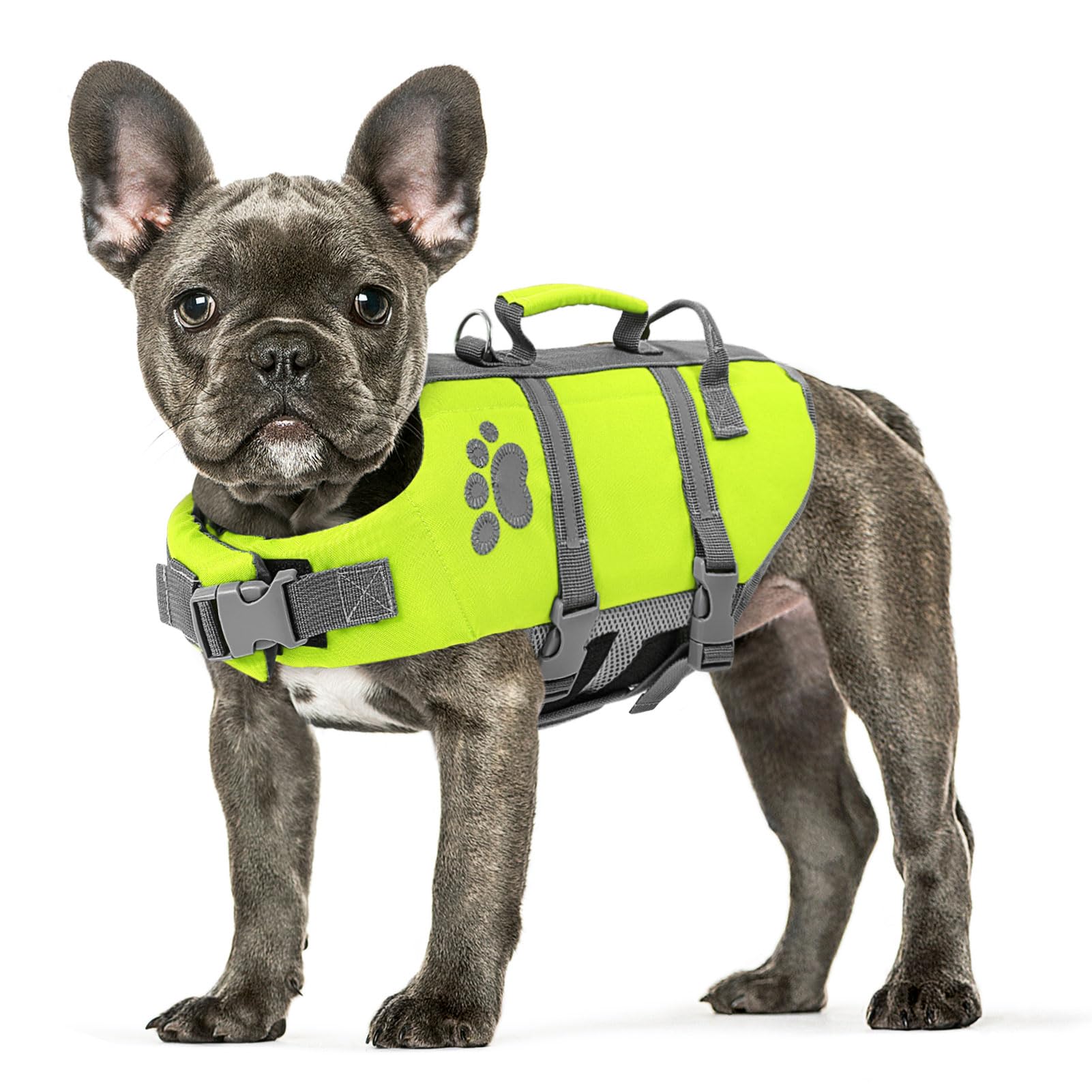Queenmore Dog Life Jacket Medium, Dog Life Vest For Swimming, Dog Life Vest For Medium Dogs, Floating Dog Vests For Boating Kaya