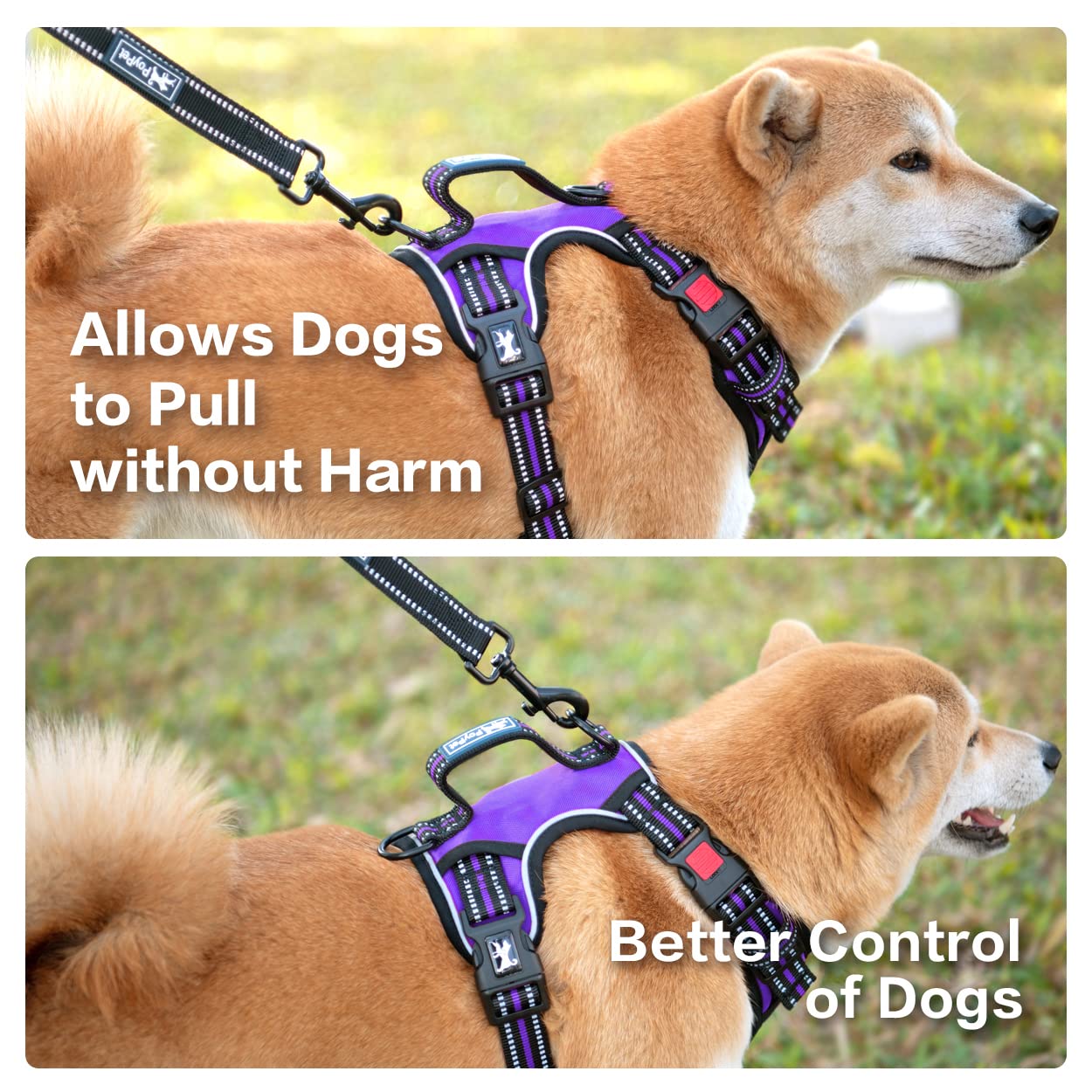 Poypet No Pull Dog Harness, No Choke Front Clip Reflective Dog Vest With Soft Padded Vertical Handle, 3 Leash Attachments For Small Medium Large Dogs (Purple,L)