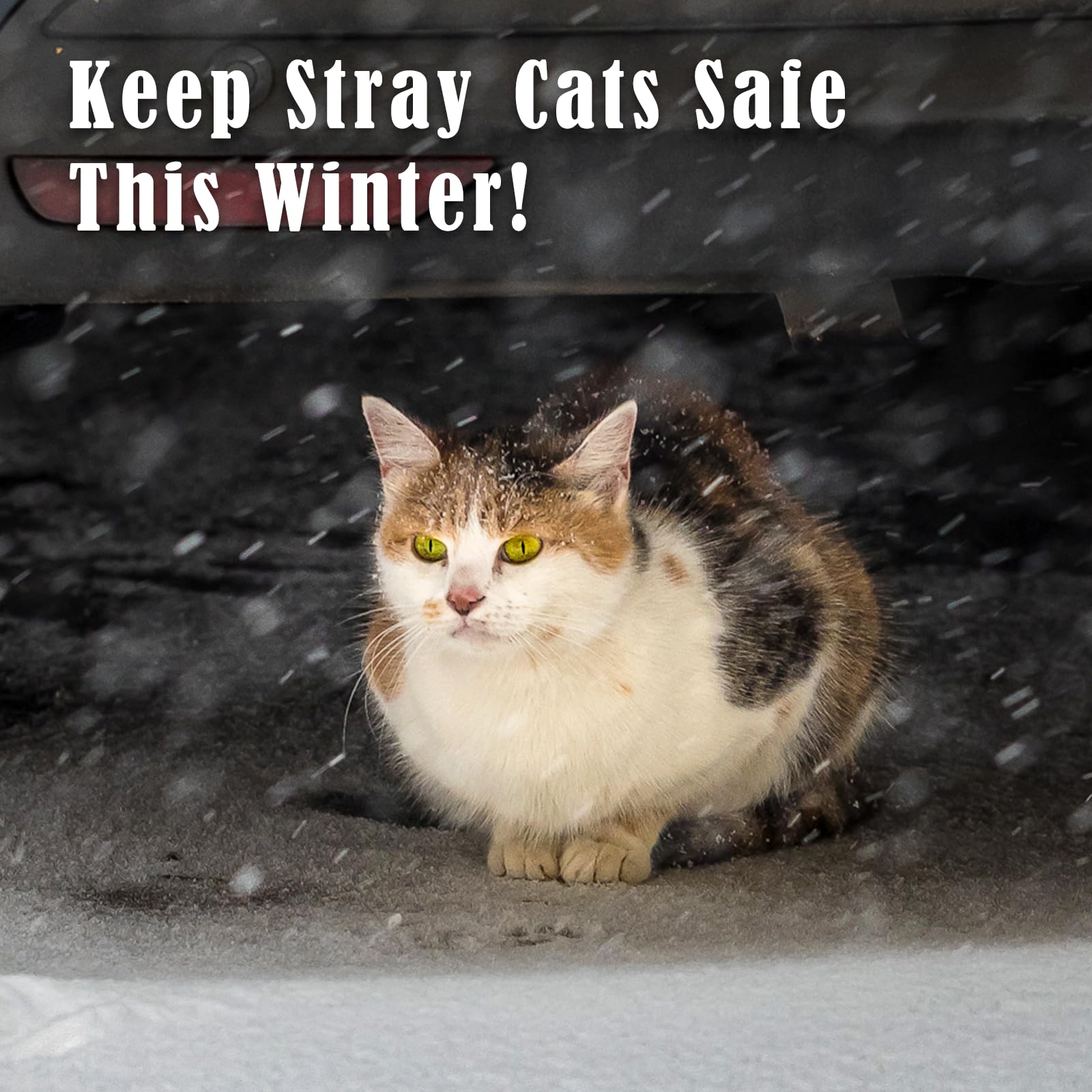 Kiroto Outdoor Cat Heating Pad, Waterproof, Safe Electric Heat, 27'' X 16''