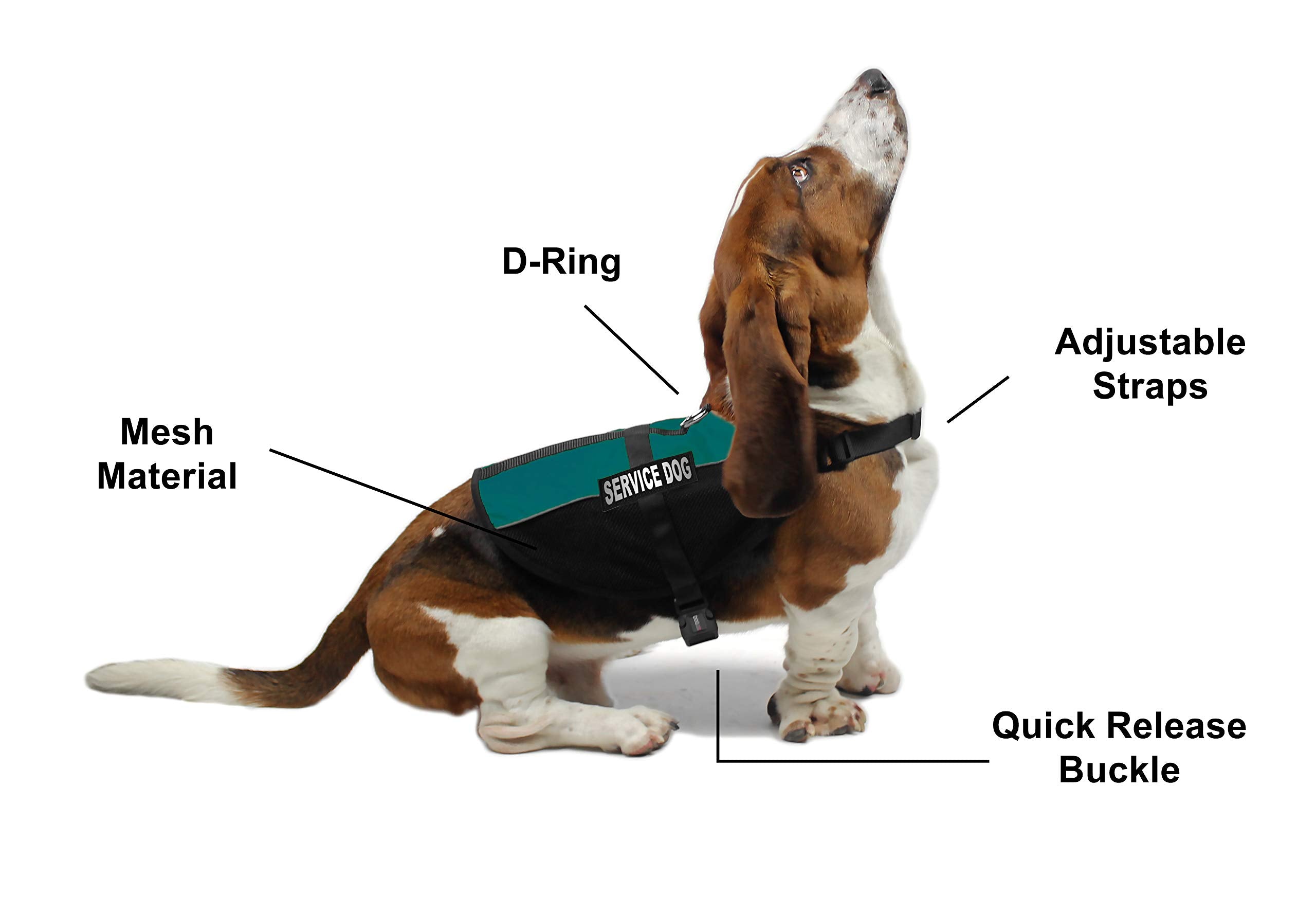 Dogline Maxaire Vest Service Dog Removable Patch Adjustable Harness Reflective With Service Dog Id Card For Puppies Small Medium And Large Dogs 22 By 29 Inch Teal