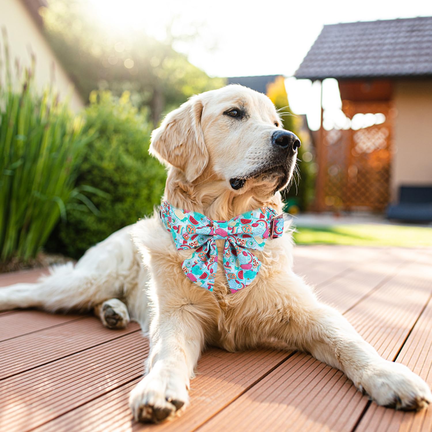 Maca Bates Summer Dog Collar With Fruit Icecream Print Bow Bowtie For Dogs Adjustable Breakaway Bow Tie Cute Puppy Collars Birth