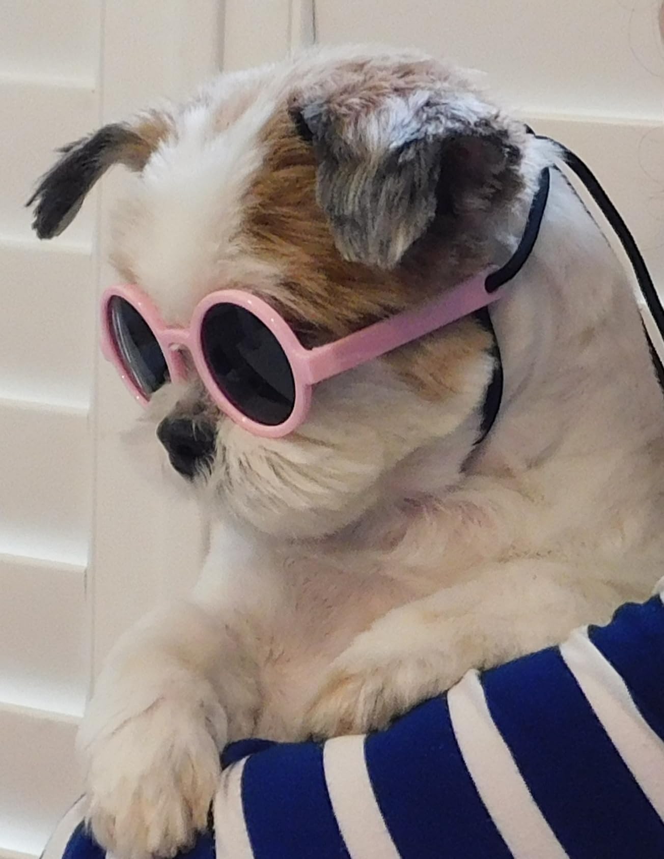 G016 Dog Cat Pet Heart Sunglasses Glasses For Small Breed Up To 15Lbs (Heart Pink-Pink Mirror)