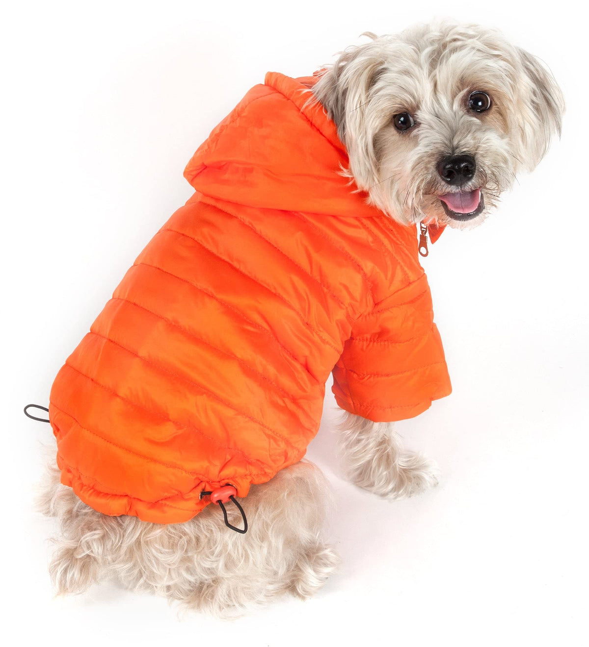 Pet Life Sporty Avalanche Lightweight Folding Winter Dog Coat - Adjustable Dog Jacket with a Concealed Zippered Collar and pop-Out Hood - Pet Coat for Small Medium Large Dogs