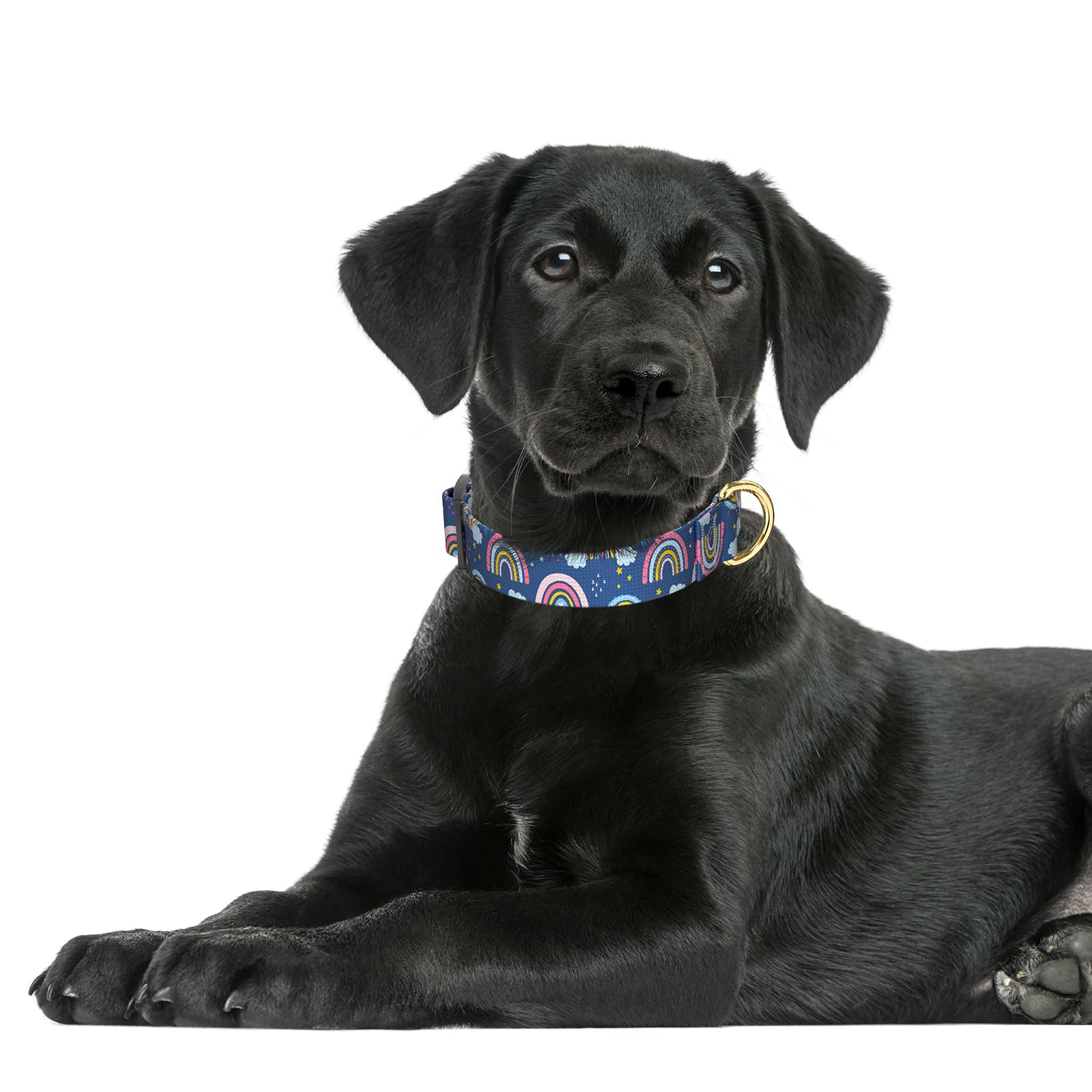 Rnivvi Dog Collar For Large Dogs, Cute Heavy Duty Adjustable Puppy Collar With Quick Release Buckle For Girl & Female, Pet Acces