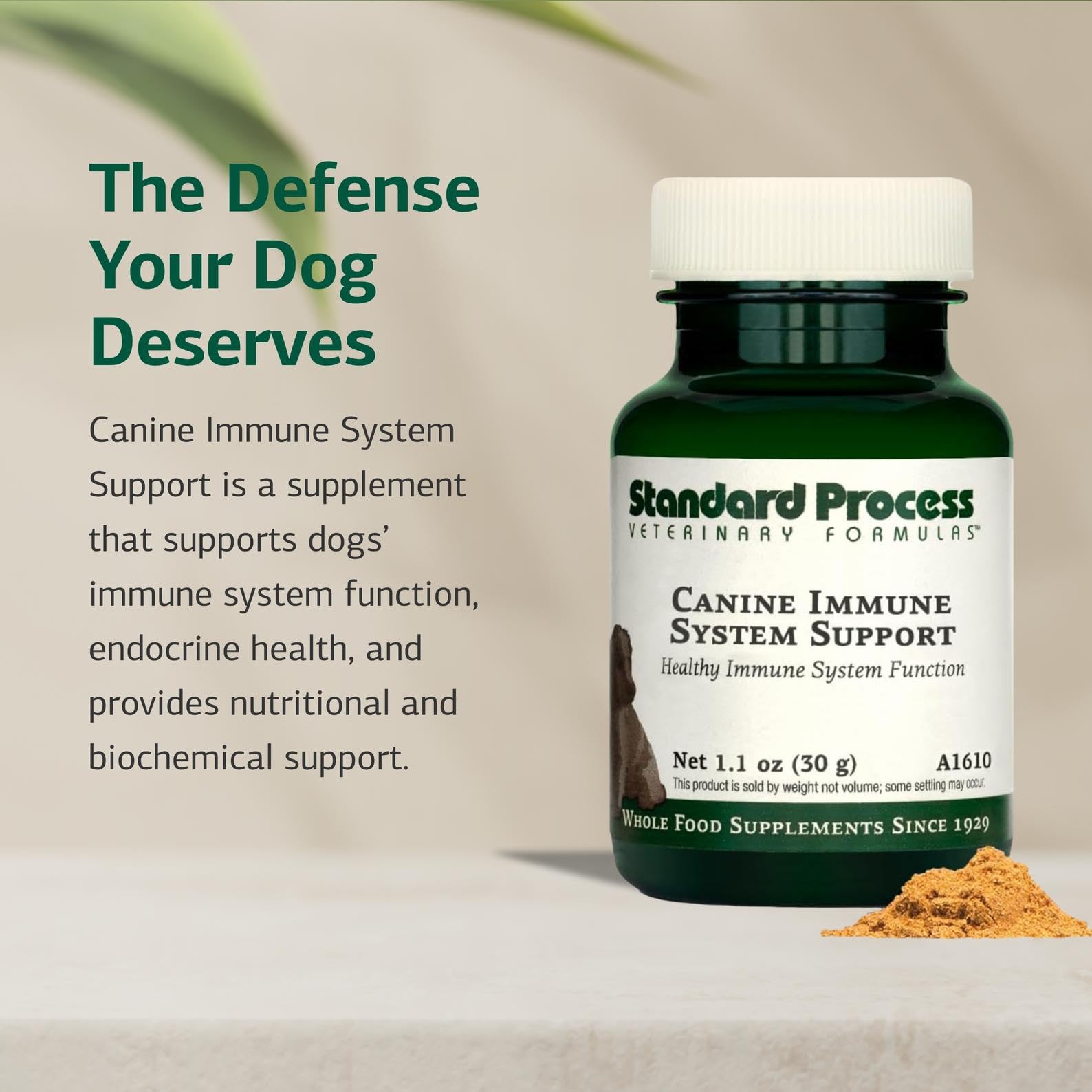 Standard Process Canine Immune Support Supplement - 30g Powder for Dogs with Zinc & Kelp - Aids Overall Health & Wellness