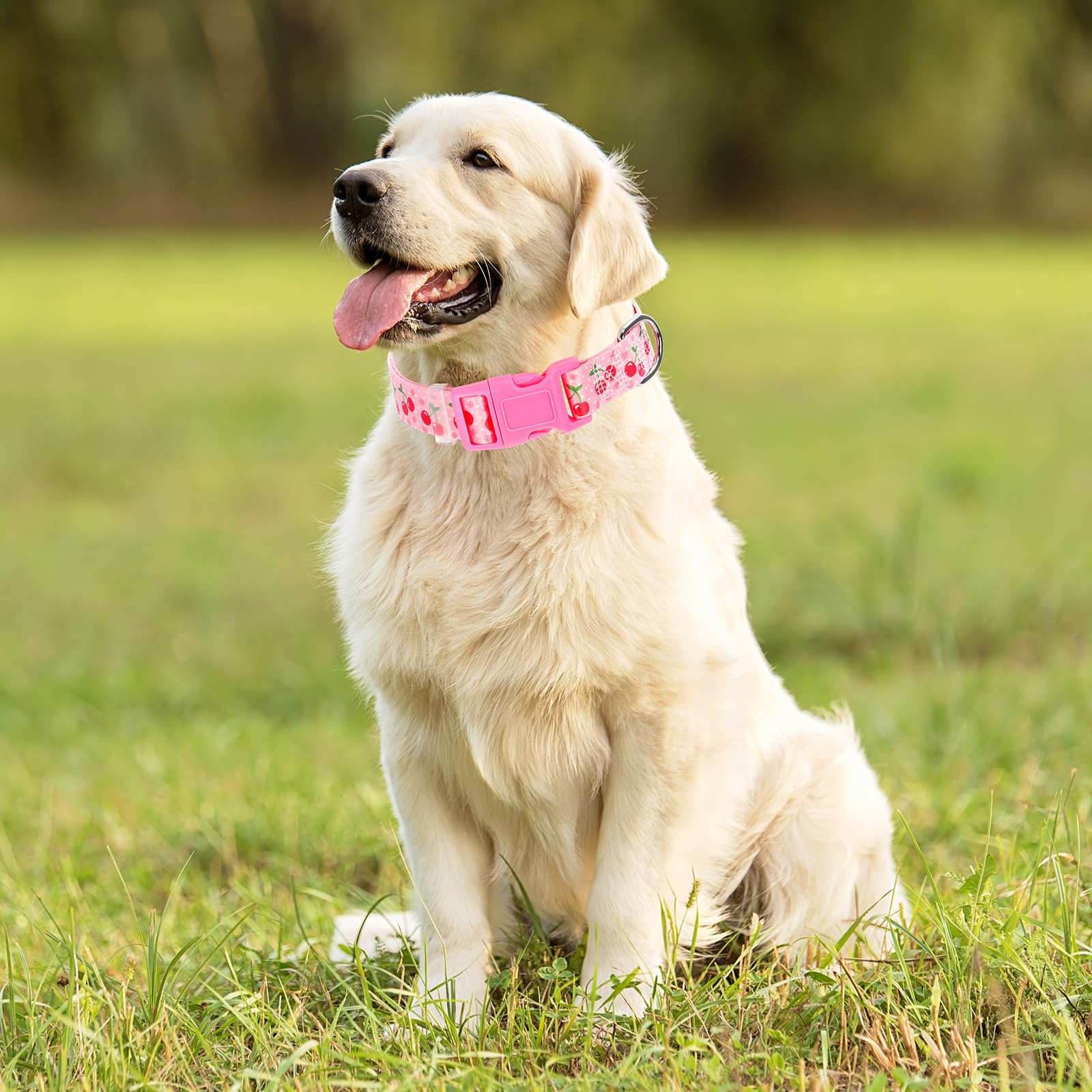 ONEFOJOJO Pink Dog Collar,Cute Cherry Style Dog Collar for Large Dogs,Soft Nylon Puppy Collar for Boy and Girl Female Dog,Adjust