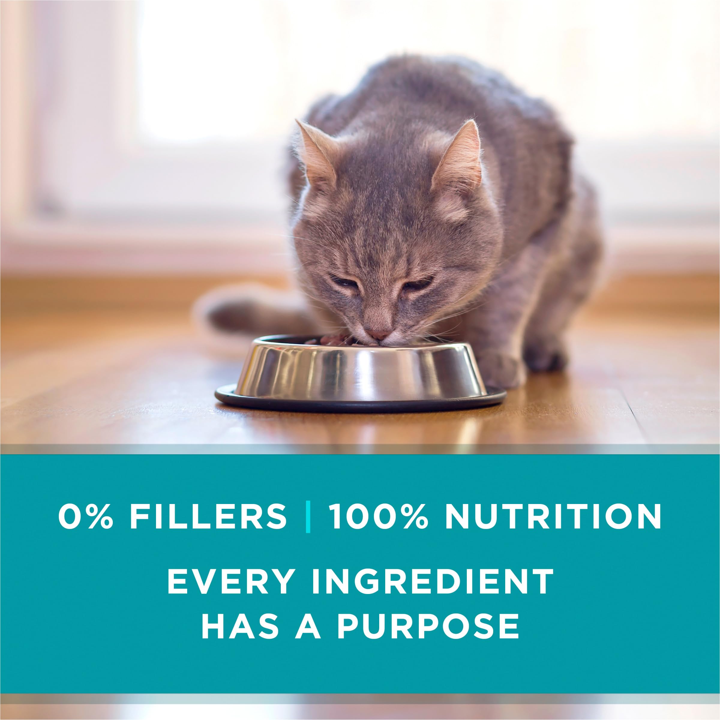Purina ONE Grain Free Wet Cat Food Variety Pack, 3 oz Pull-Top Cans, Beef, Chicken & Ocean Whitefish, 24 Total Cans