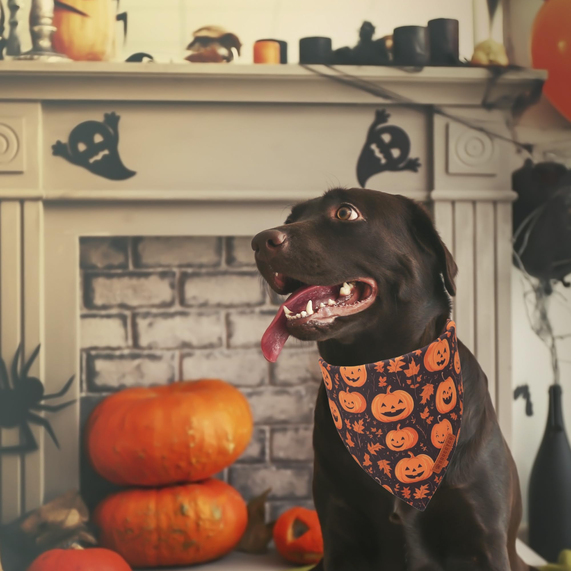 Adoggygo Halloween Dog Bandana, Pumpkin Ghost Pet Scarf, Orange Black Halloween Bandanas For X-Large Dog (X-Large)