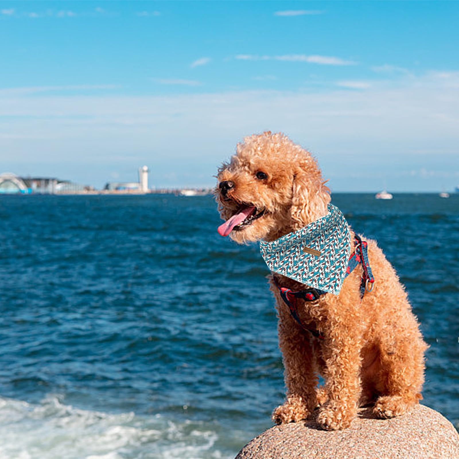 Elegant Little Tail Dog Bandanas - 1Pack Shark Print Cute Washable Summer Boy Scarf Square Bib Kerchief Adjustable Pet Bandana F