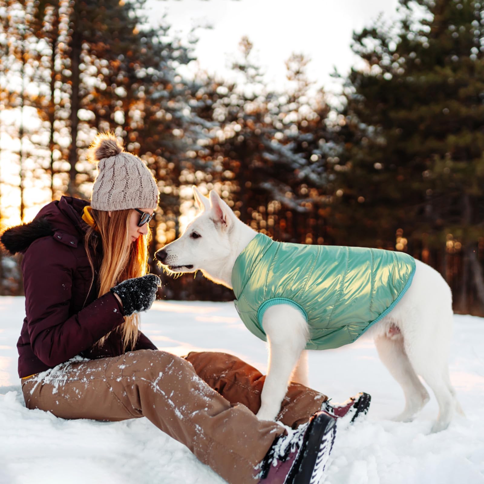 Asenku Windproof Dog Winter Coat Waterproof Jacket Warm Vest Cold Weather Pet Apparel With 2 Layers Fleece Lined For Small Mediu