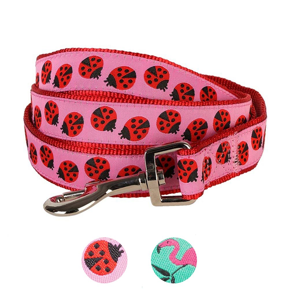 Blueberry Pet Essentials 2 Patterns Durable Pink Webbing Ladybug Designer Dog Leash 5 Ft X 5/8', Small, Basic Nylon Leashes For Dogs