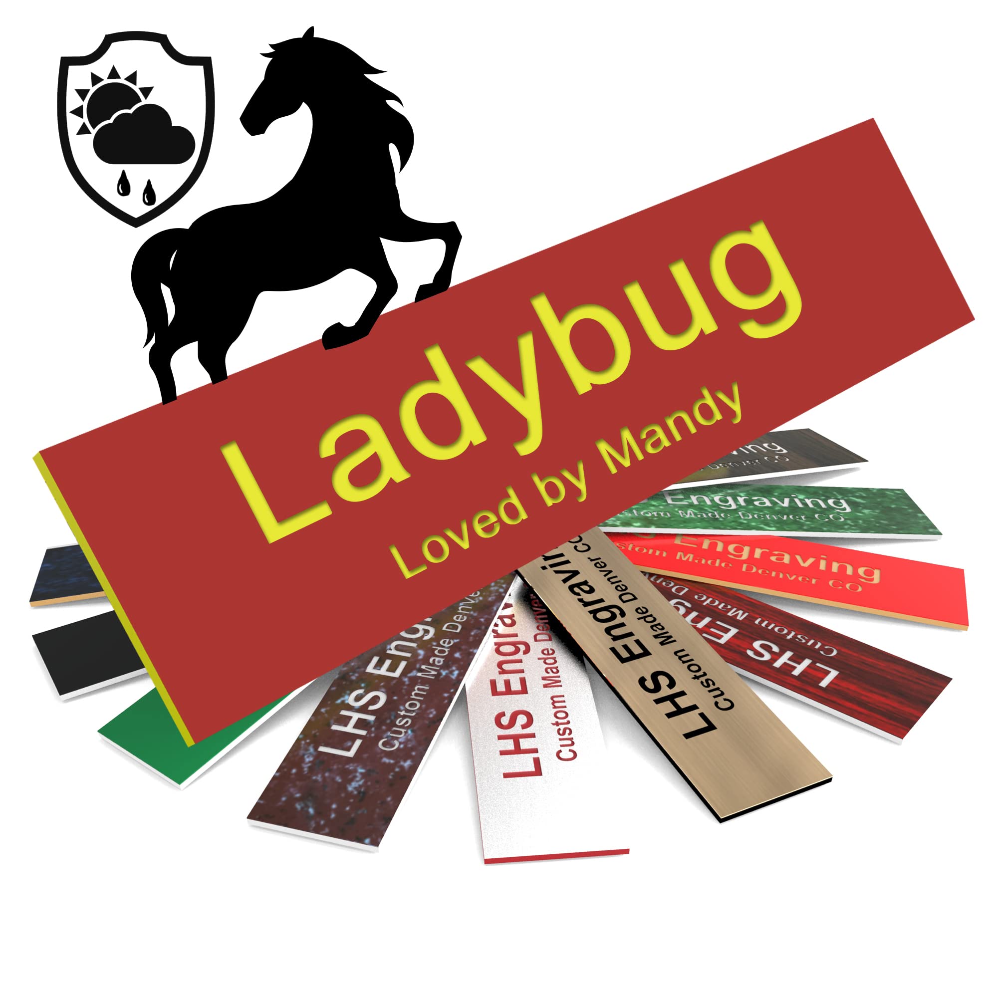 Lhs | Horse Stall Name Plate, 2X6 Personalized Stall Signs, Uv Protected, All Weather Adhesive, Hanging, Mounting Or Other, Red 