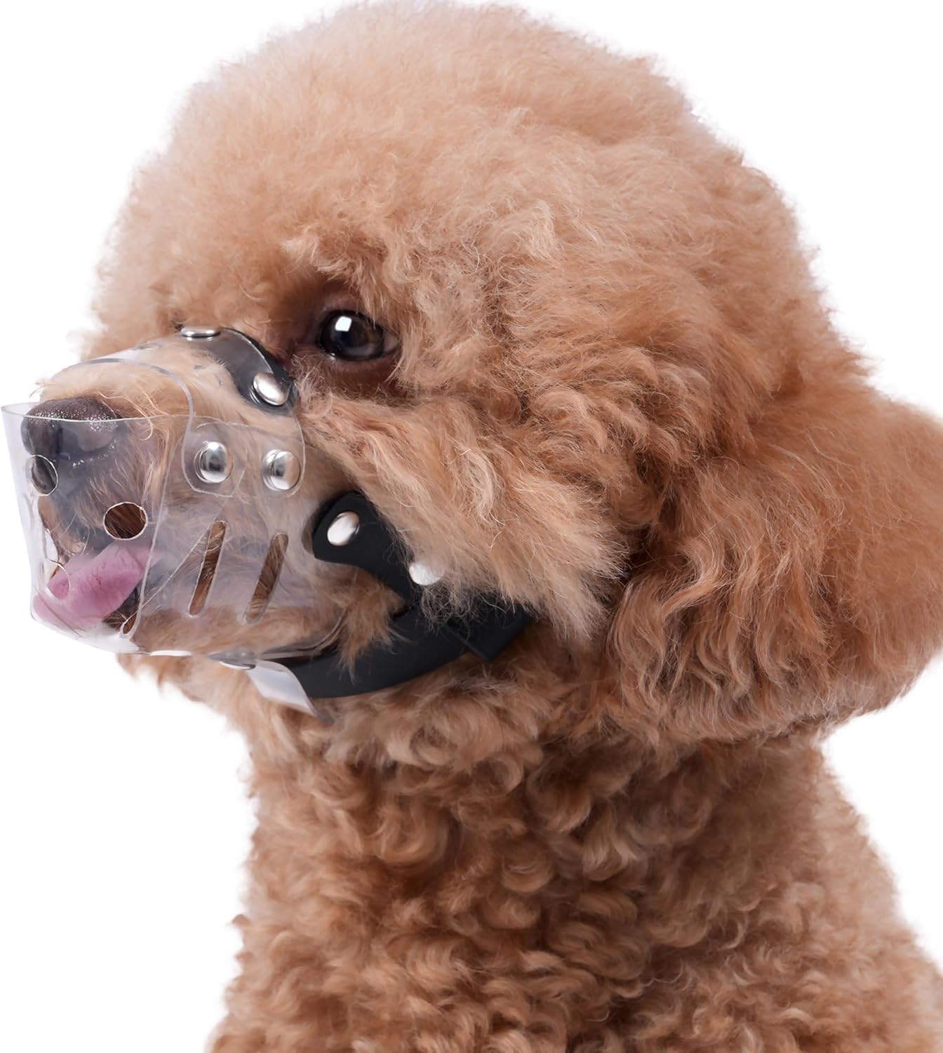 Mayerzon Dog Muzzle, Basket Muzzle For Small Medium Dogs Poodle Dachshund Corgi, Clear Puppy Mouth Cover For Grooming Vet Visits