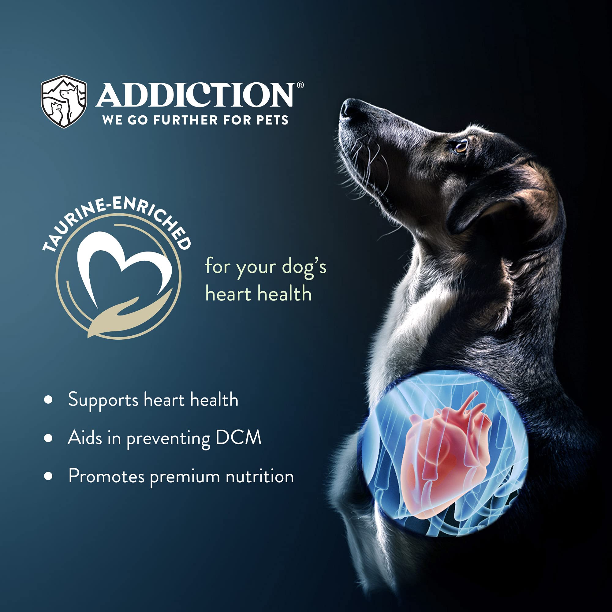 Addiction Homestyle Venison & Cranberry Dinner Raw Alternative Dog Food - Gently Air-Dried Complete Meal or Dog Food Topper for