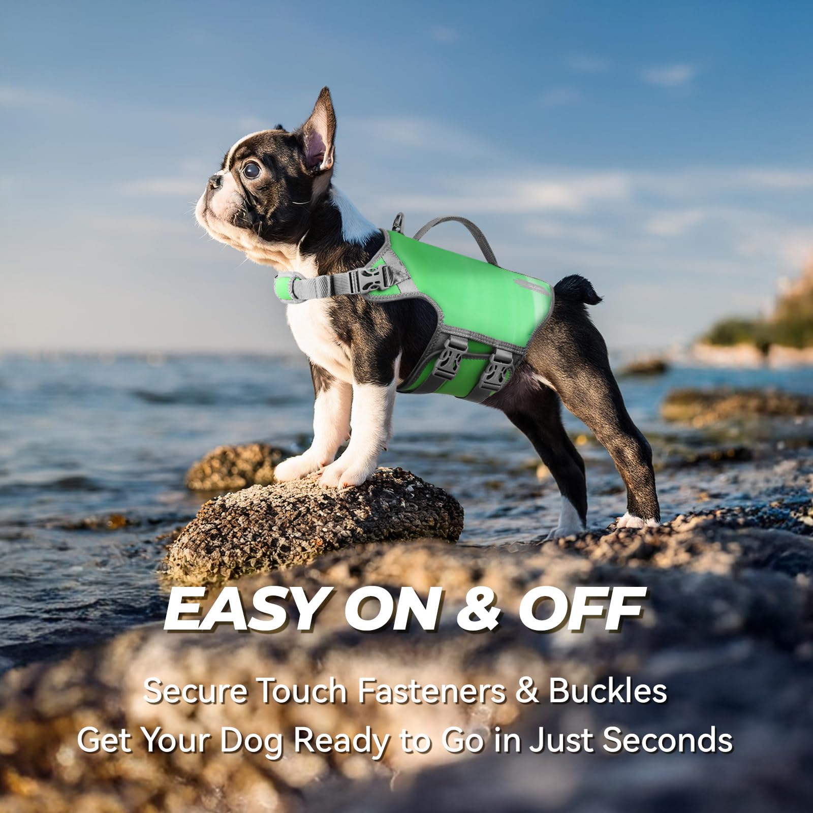 Vivaglory Neoprene Dog Life Jacket Dog Swim Vest For Boating Hunting & Swimming, Lightweight With Leash Ring, S, Grape Green